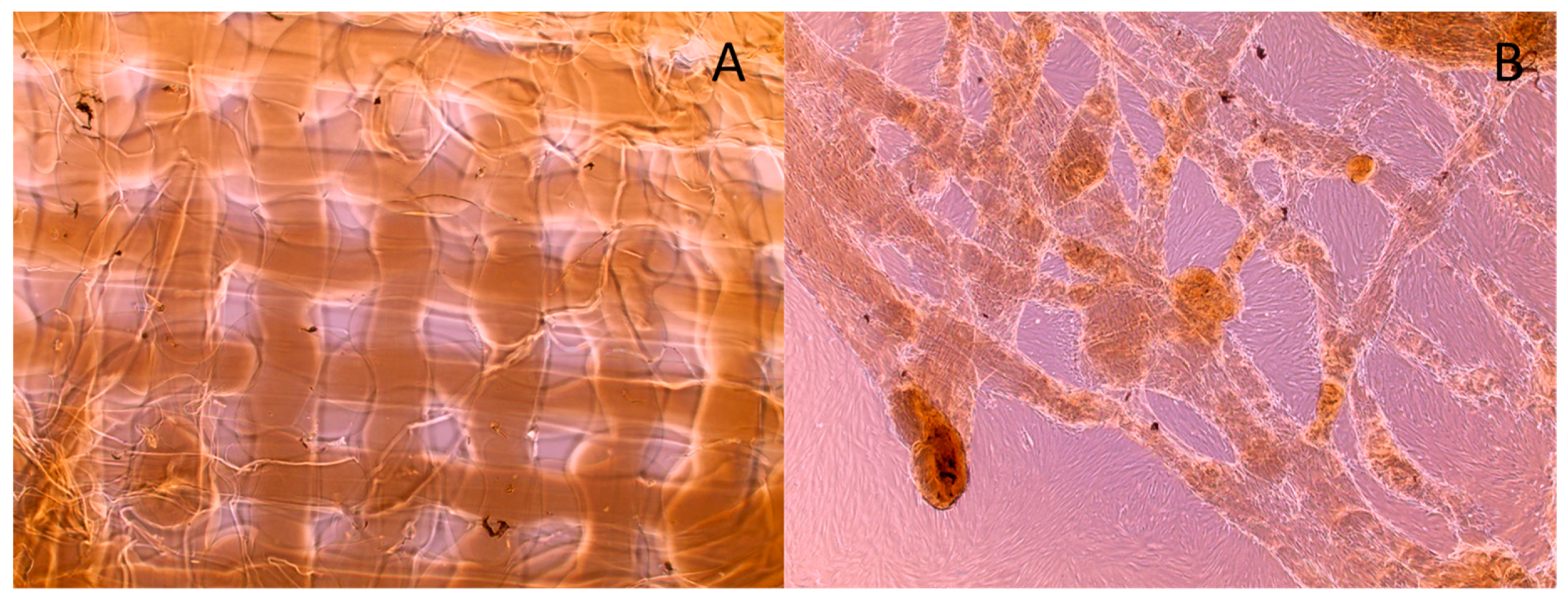 Micromachines 15 00490 g013