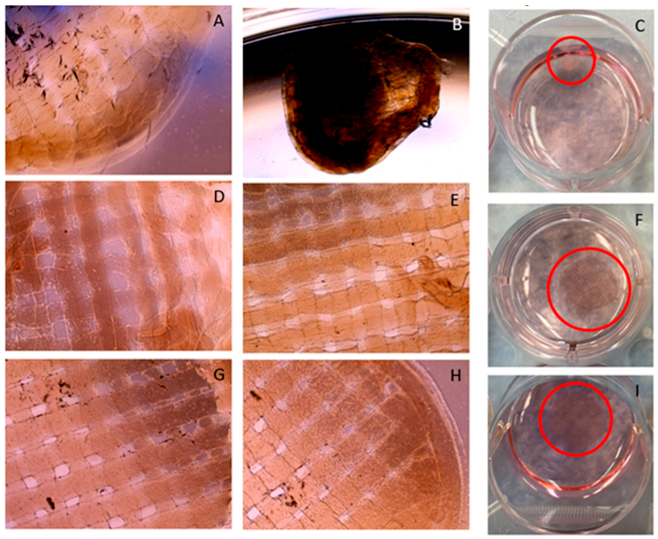 Micromachines 15 00490 g014