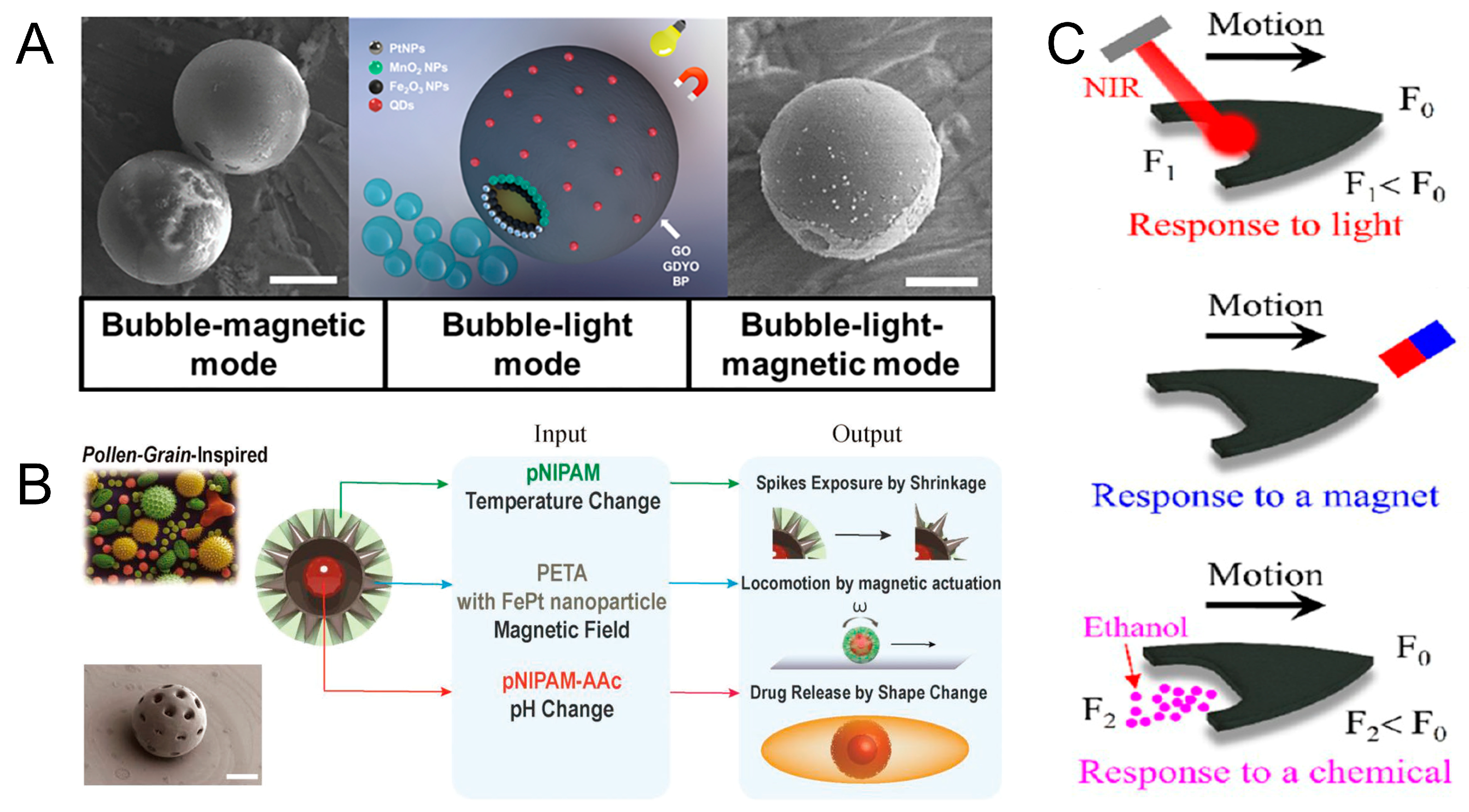 Micromachines 15 00492 g006