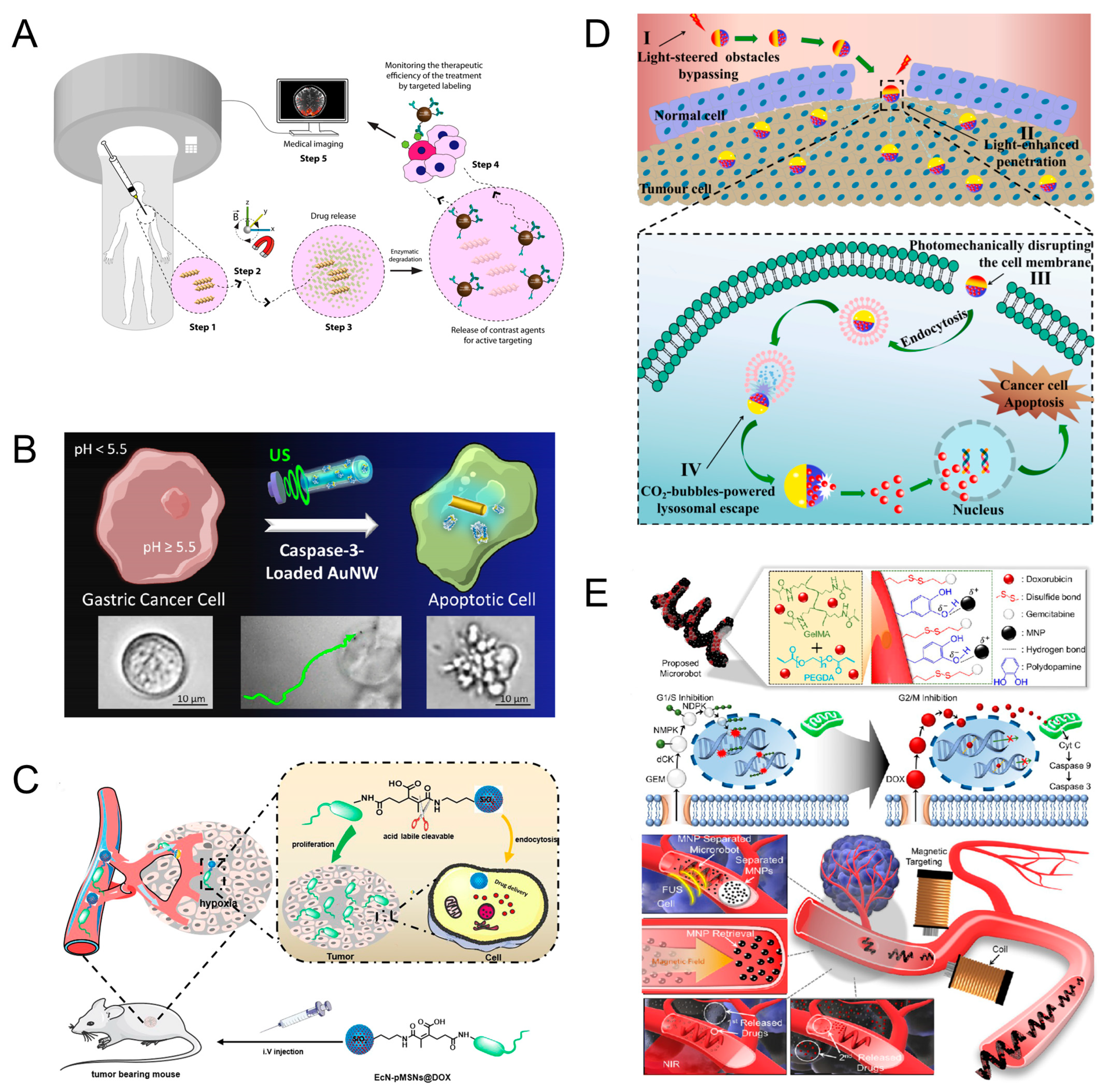 Micromachines 15 00492 g008