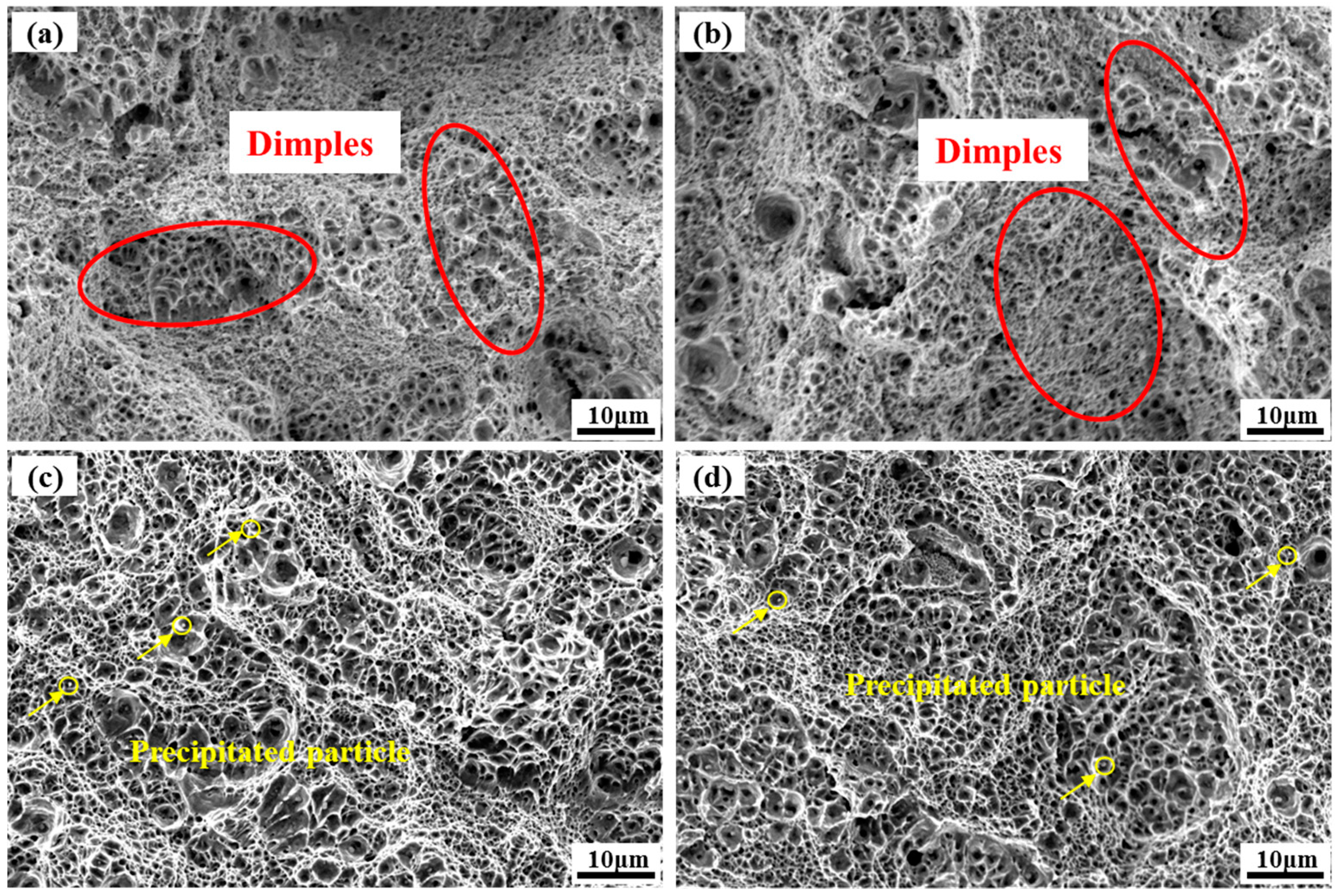 Micromachines 15 00494 g007
