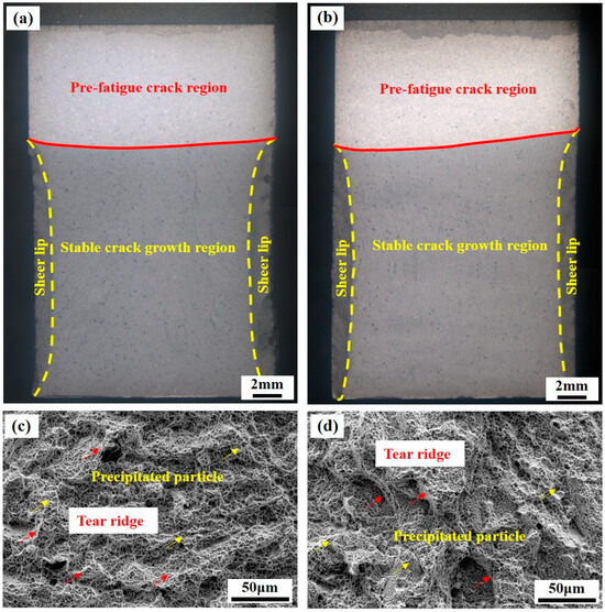 Microstructure, Tensile Properties, and Fracture Toughness