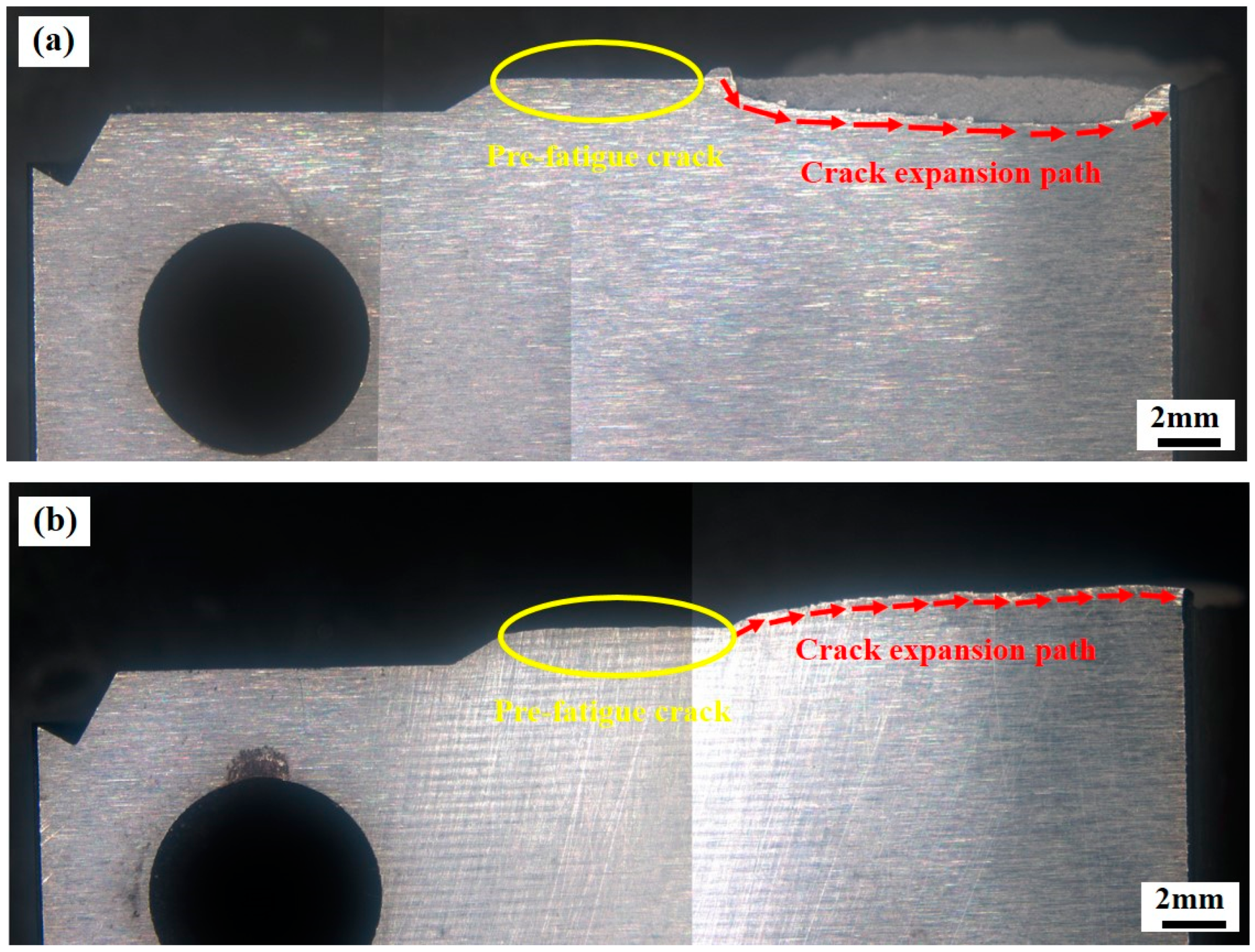 Micromachines 15 00494 g012