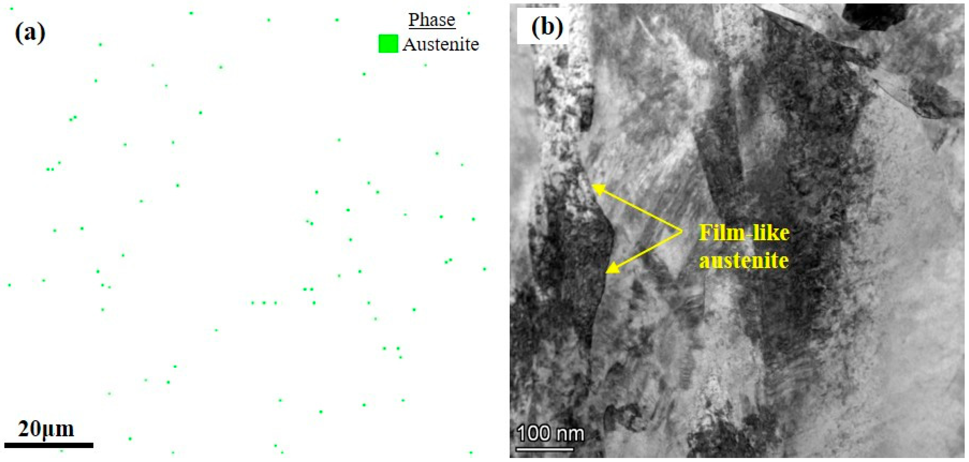 Micromachines 15 00494 g013