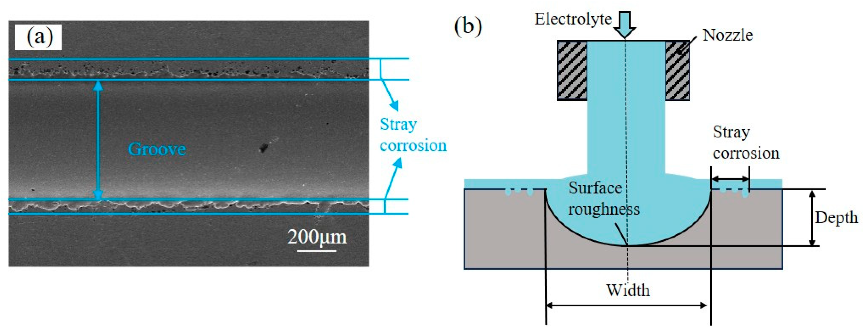 Micromachines 15 00497 g003