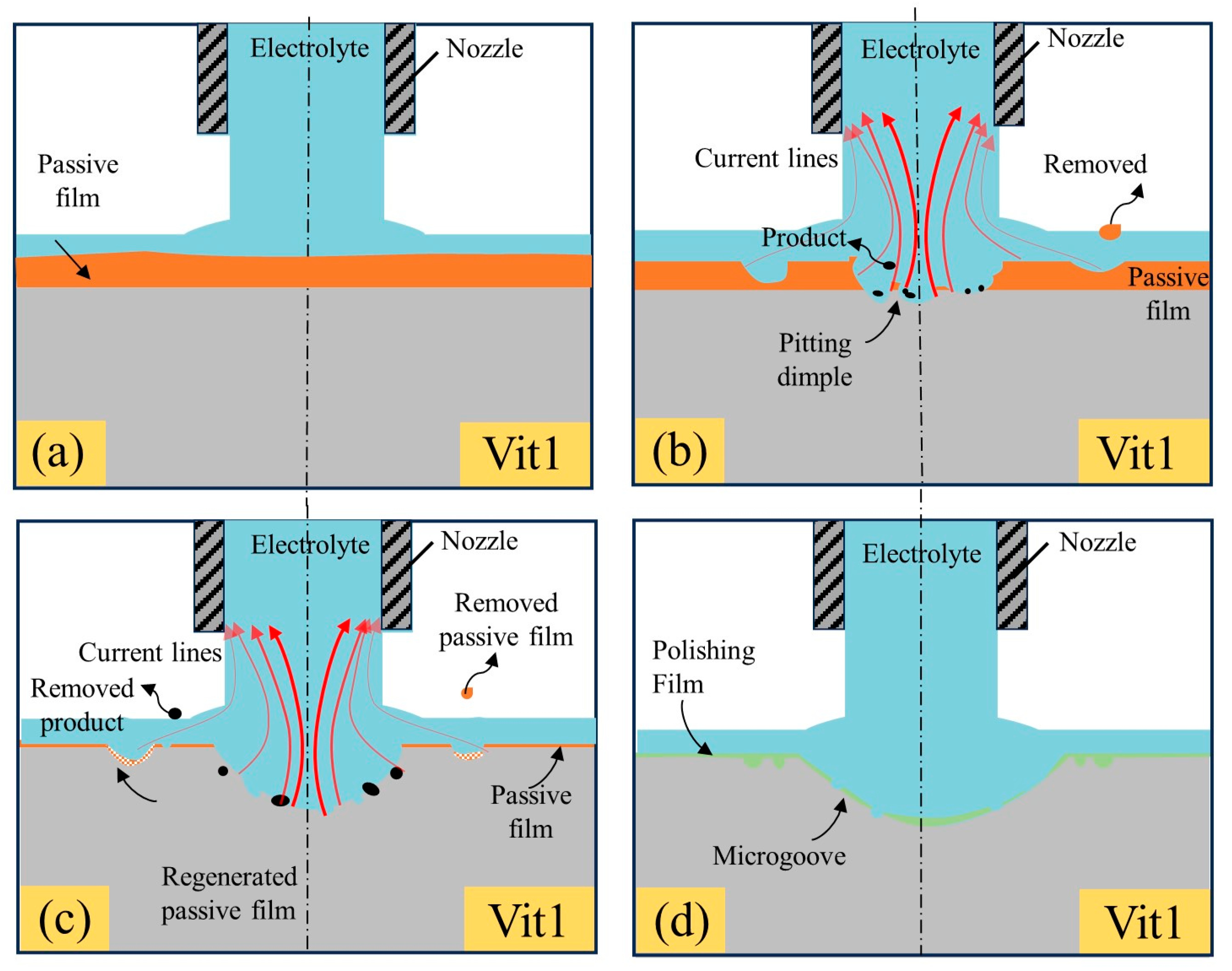 Micromachines 15 00497 g010