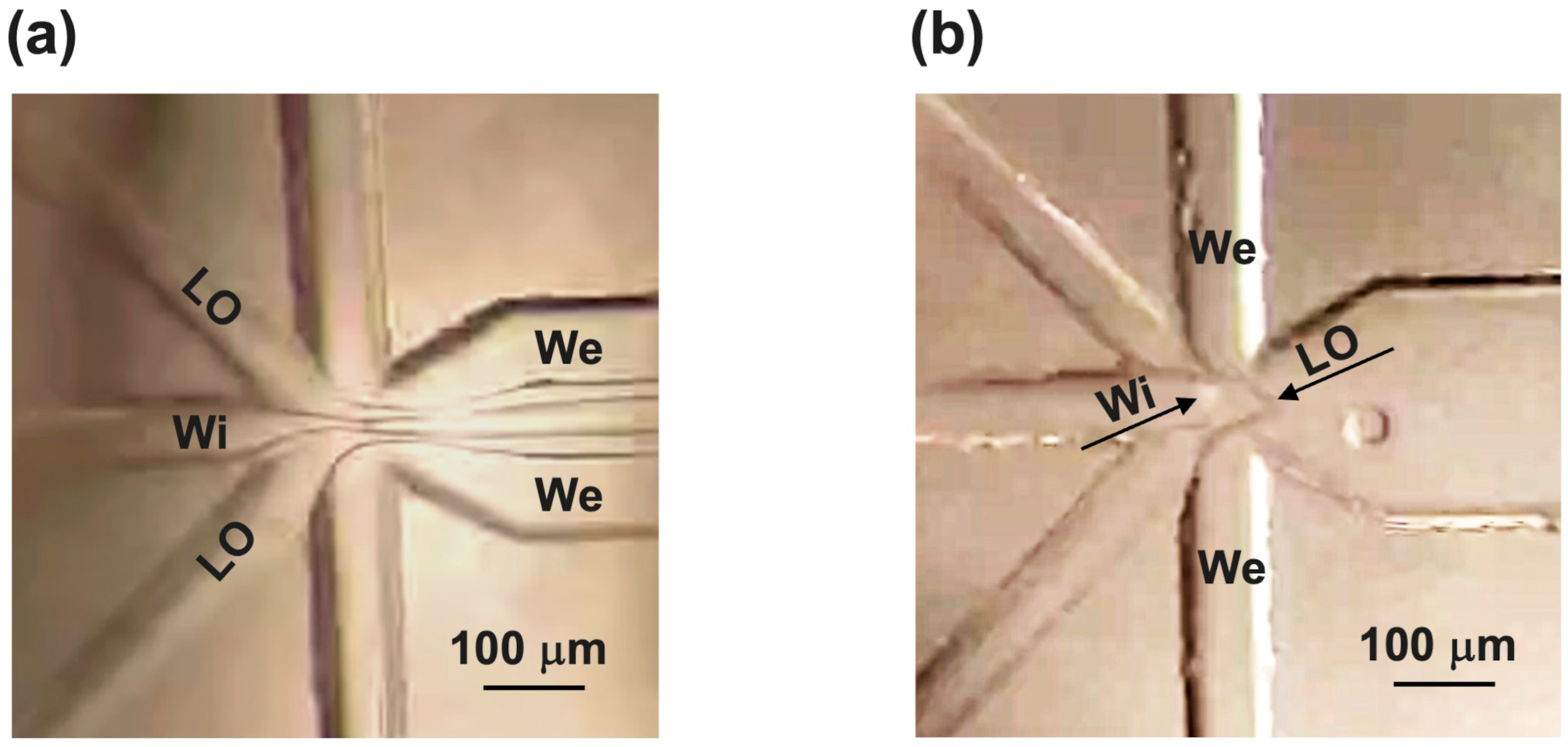 Micromachines 15 00500 g004