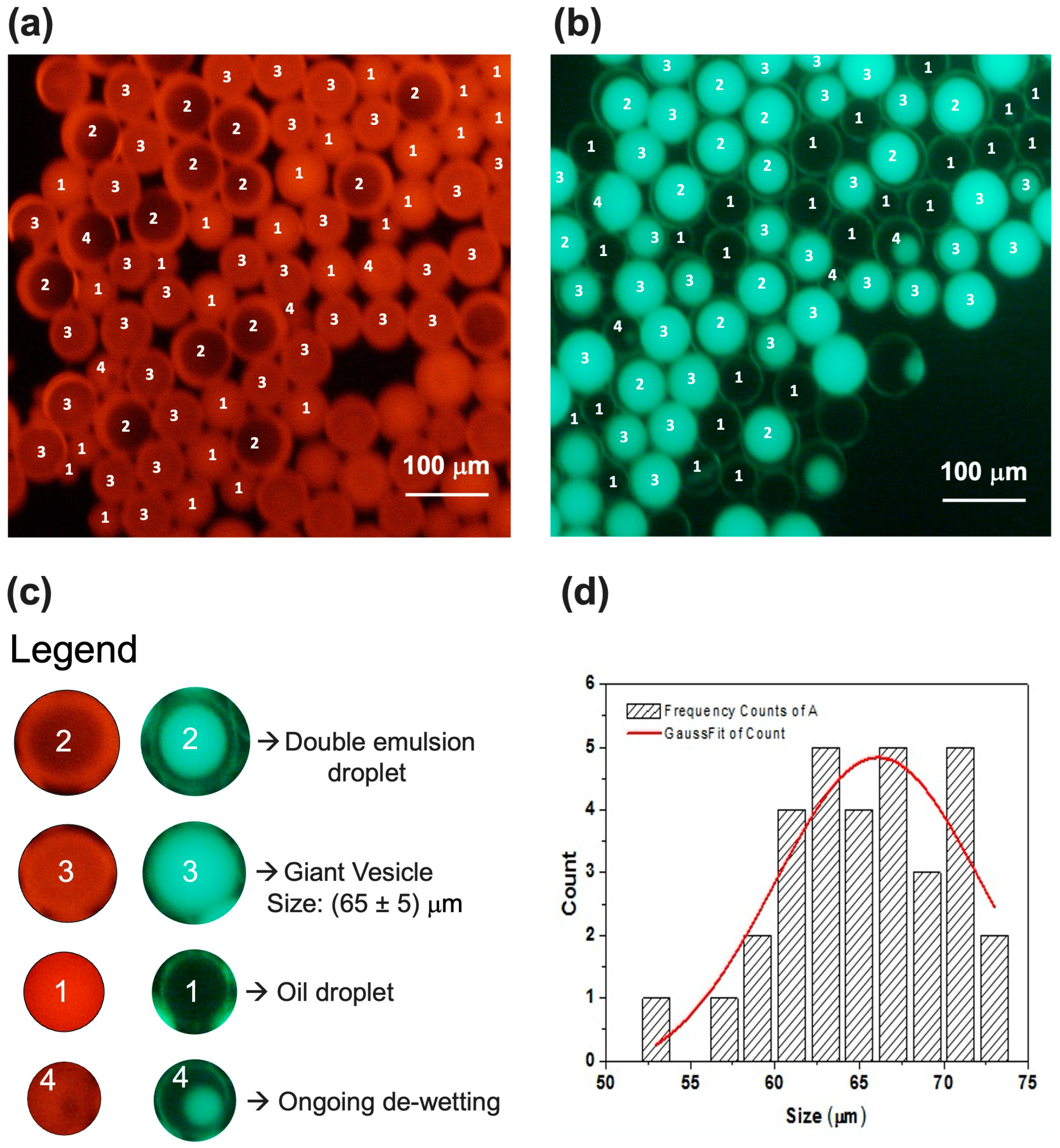 Micromachines 15 00500 g005