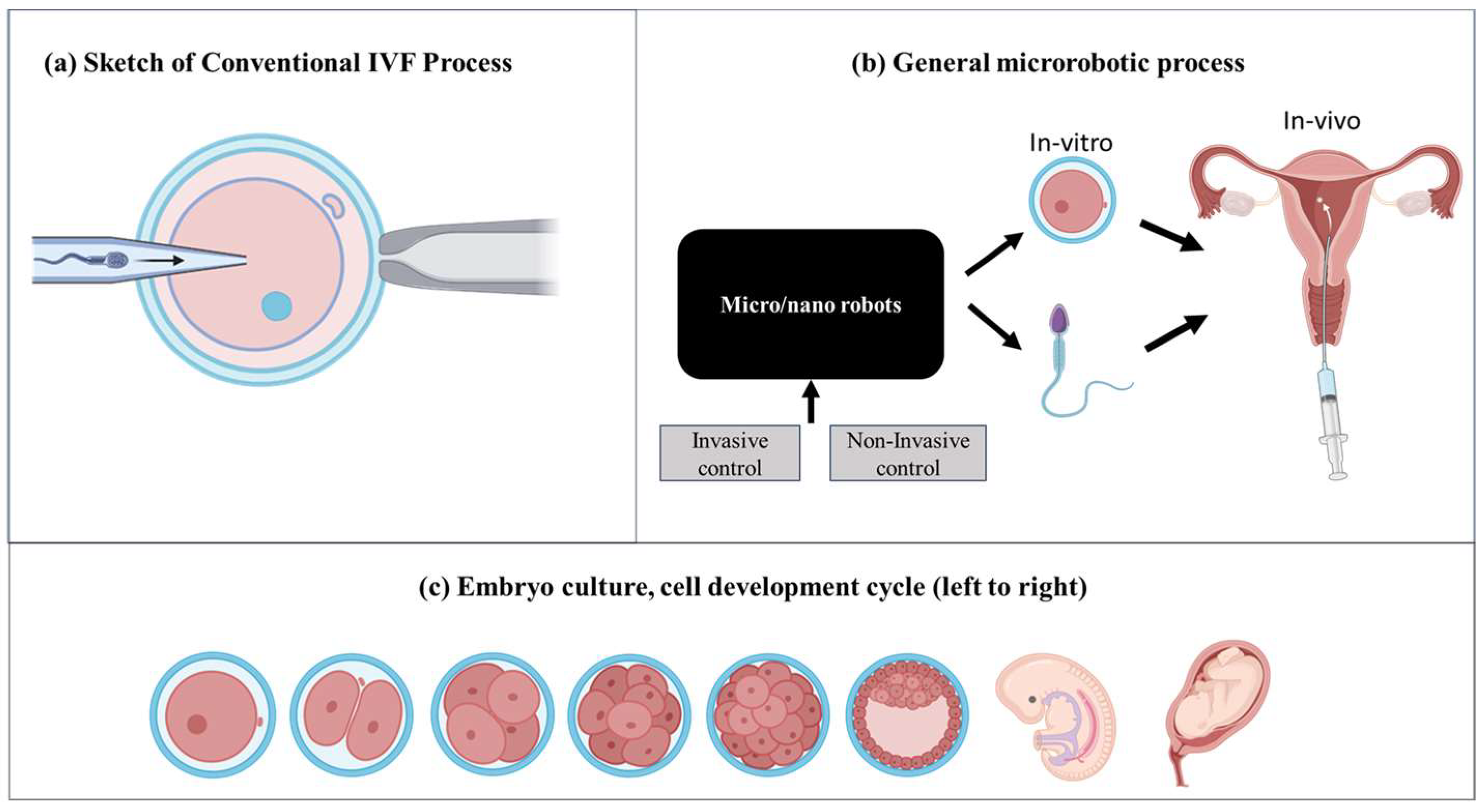 Micromachines 15 00510 g001