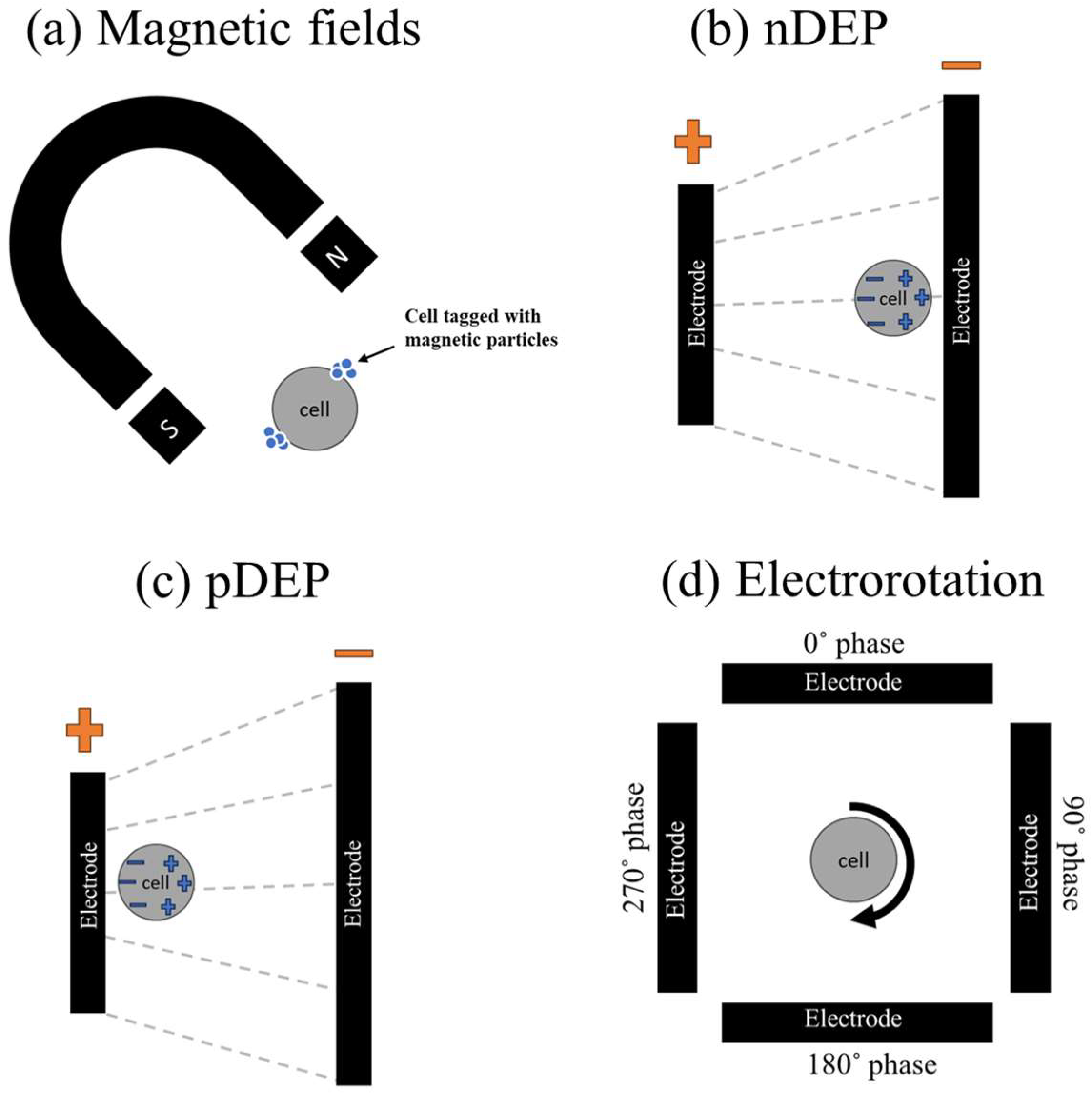 Micromachines 15 00510 g002