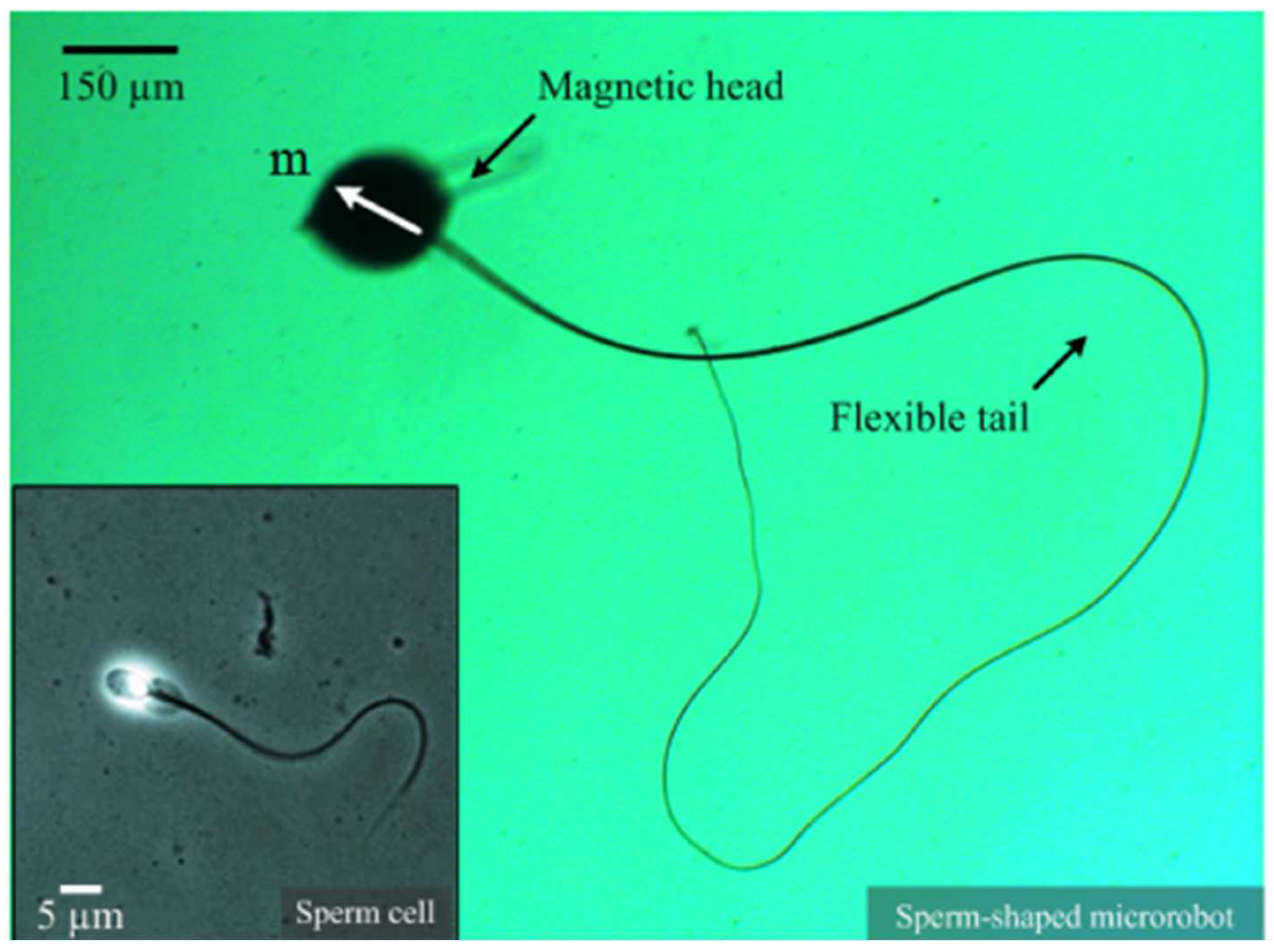 Micromachines 15 00510 g003