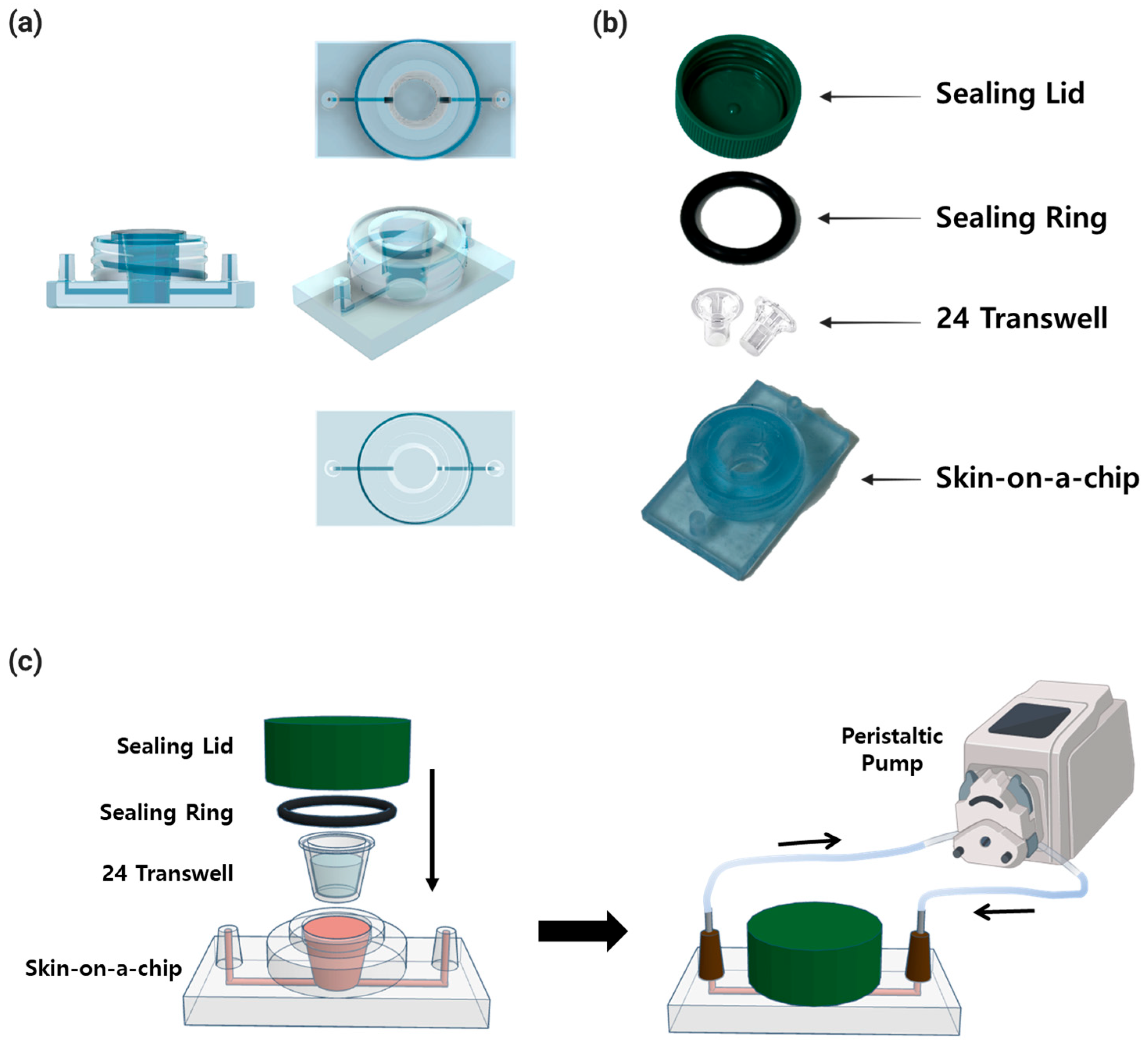 Micromachines 15 00511 g002