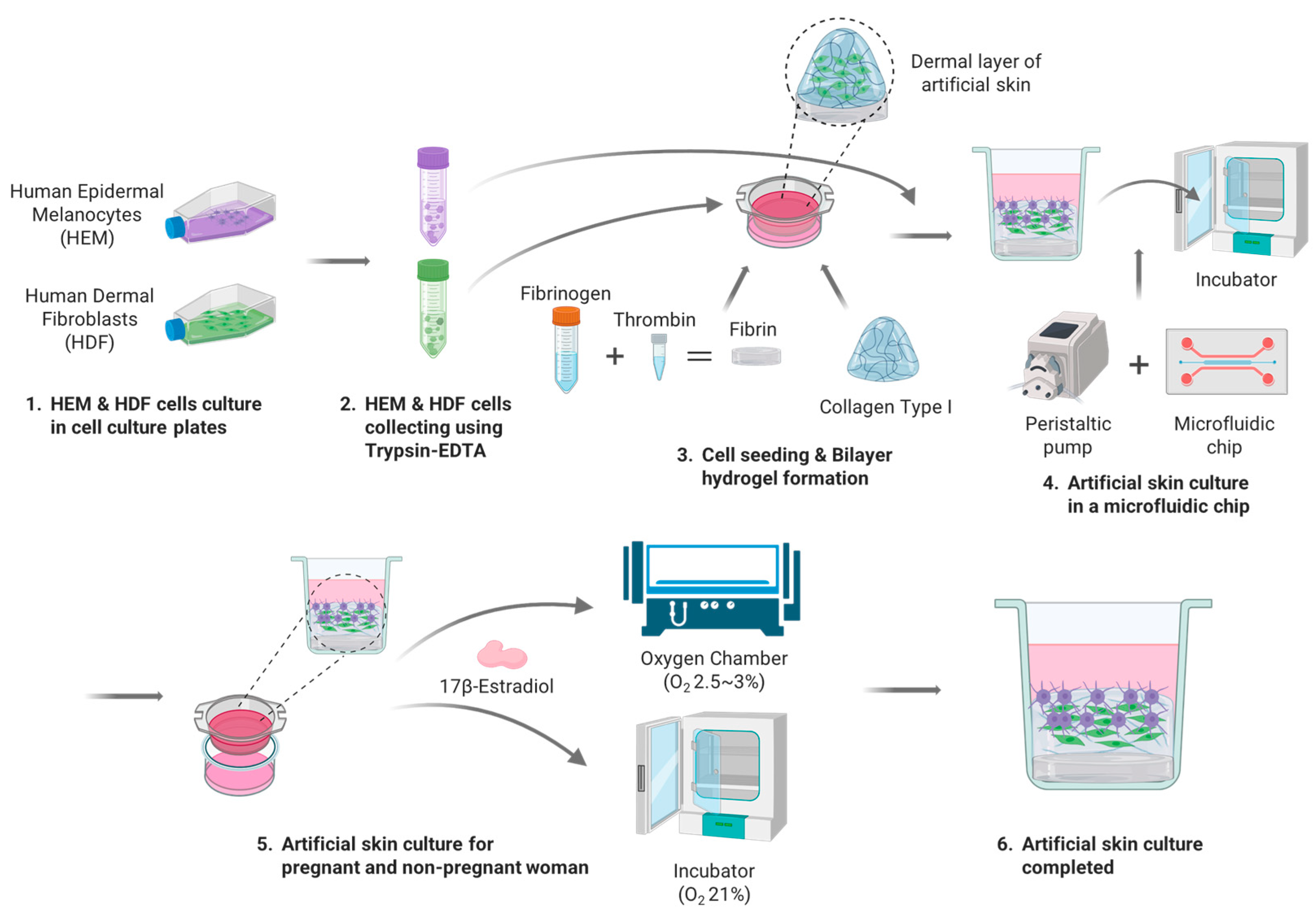 Micromachines 15 00511 g003