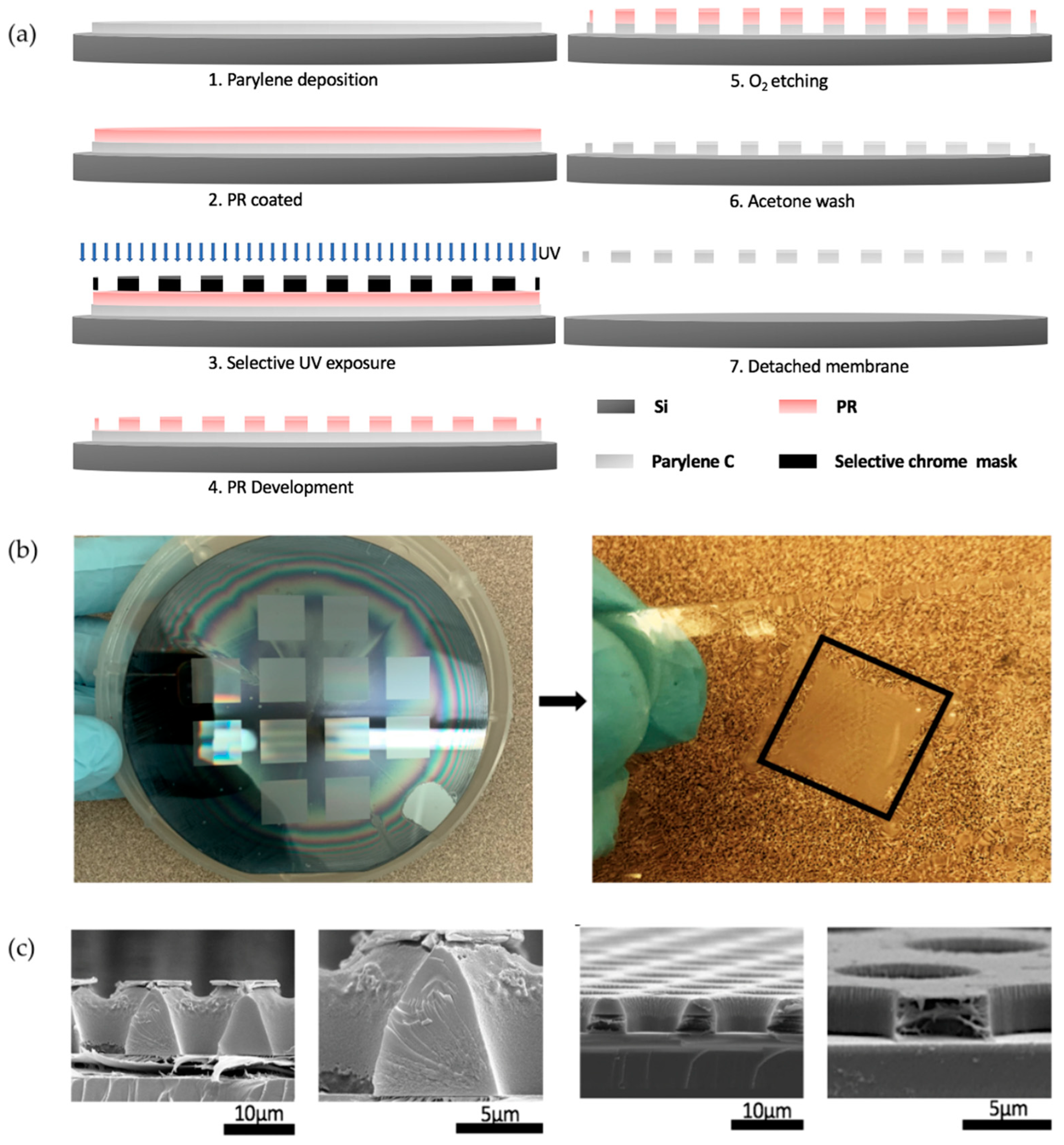 Micromachines 15 00521 g003