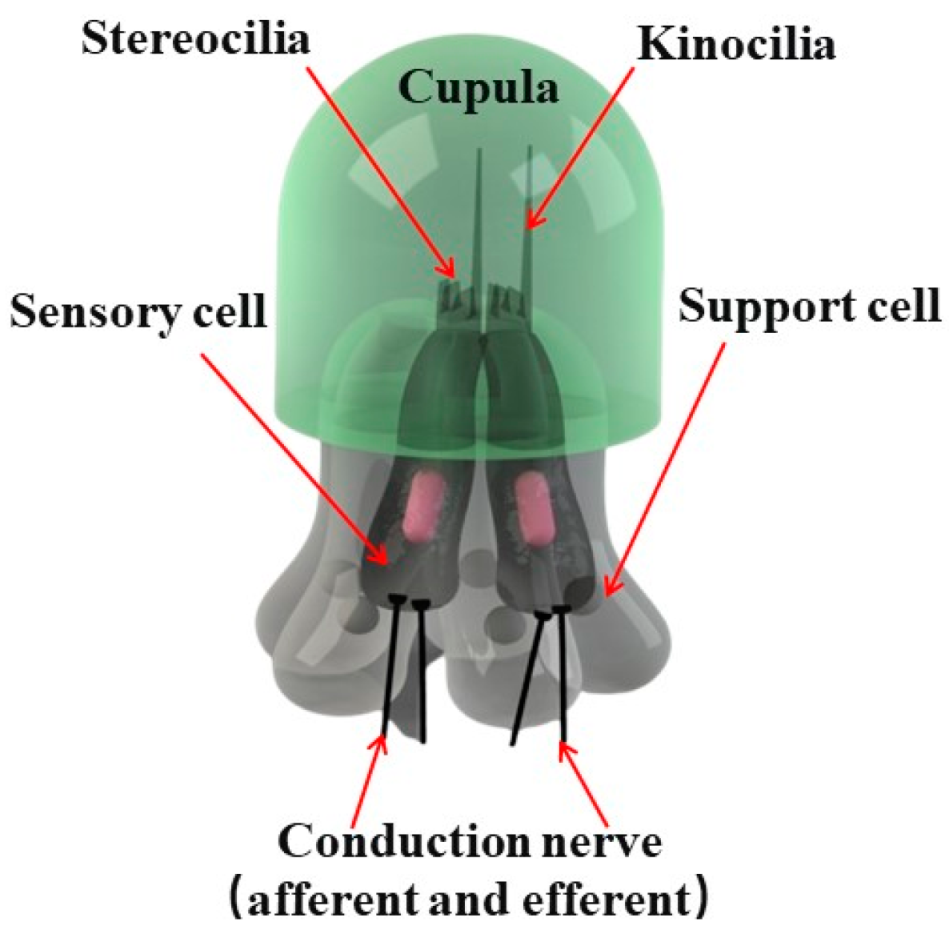 Micromachines 15 00524 g001
