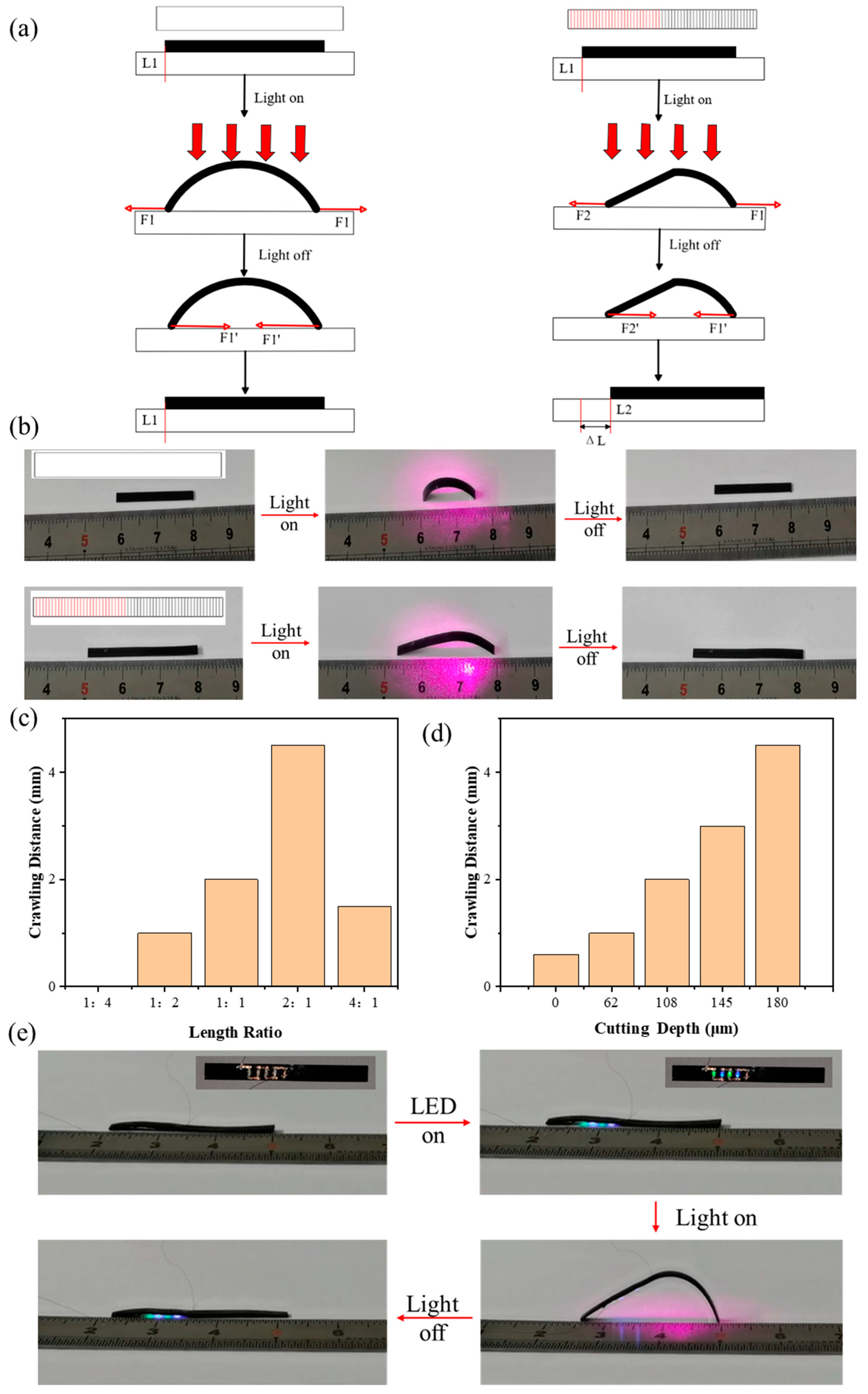 Micromachines 15 00534 g005