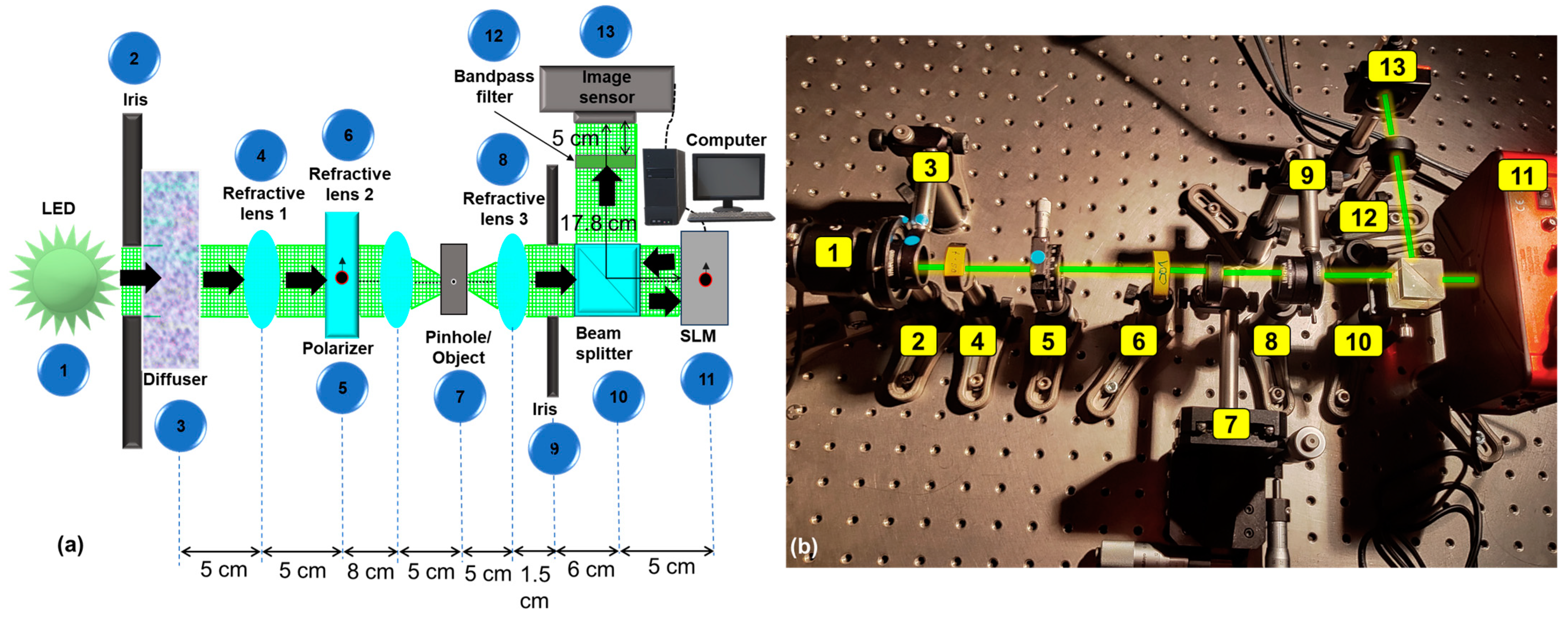 Micromachines 15 00537 g005