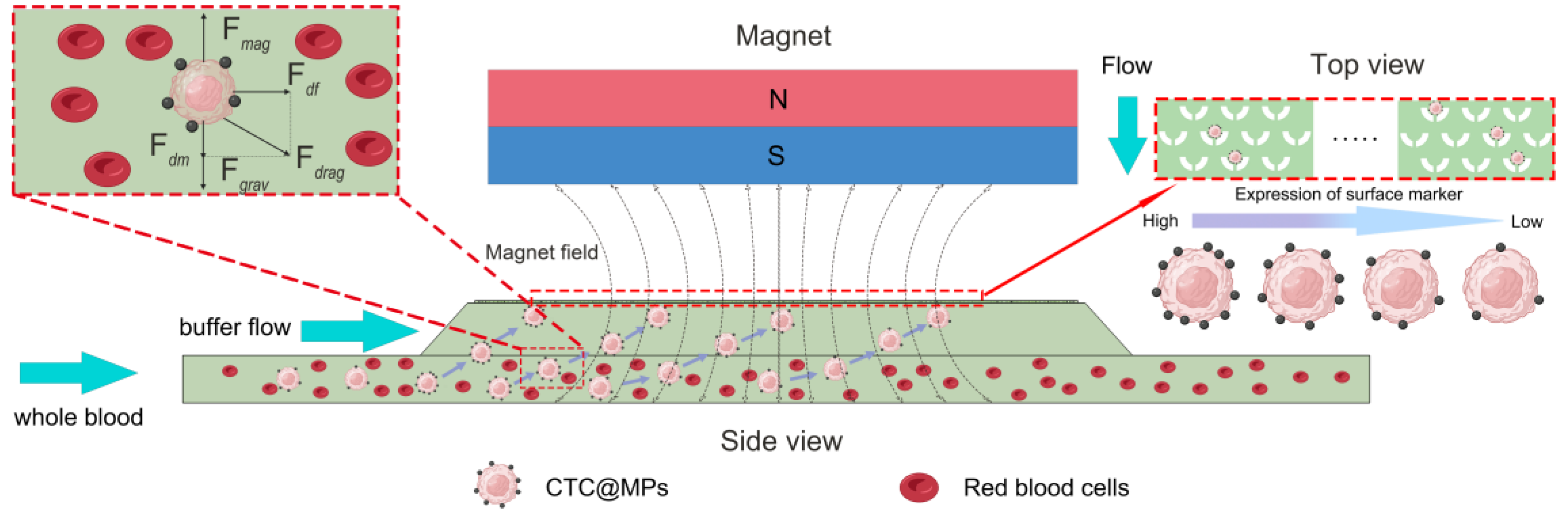 Micromachines 15 00542 g002