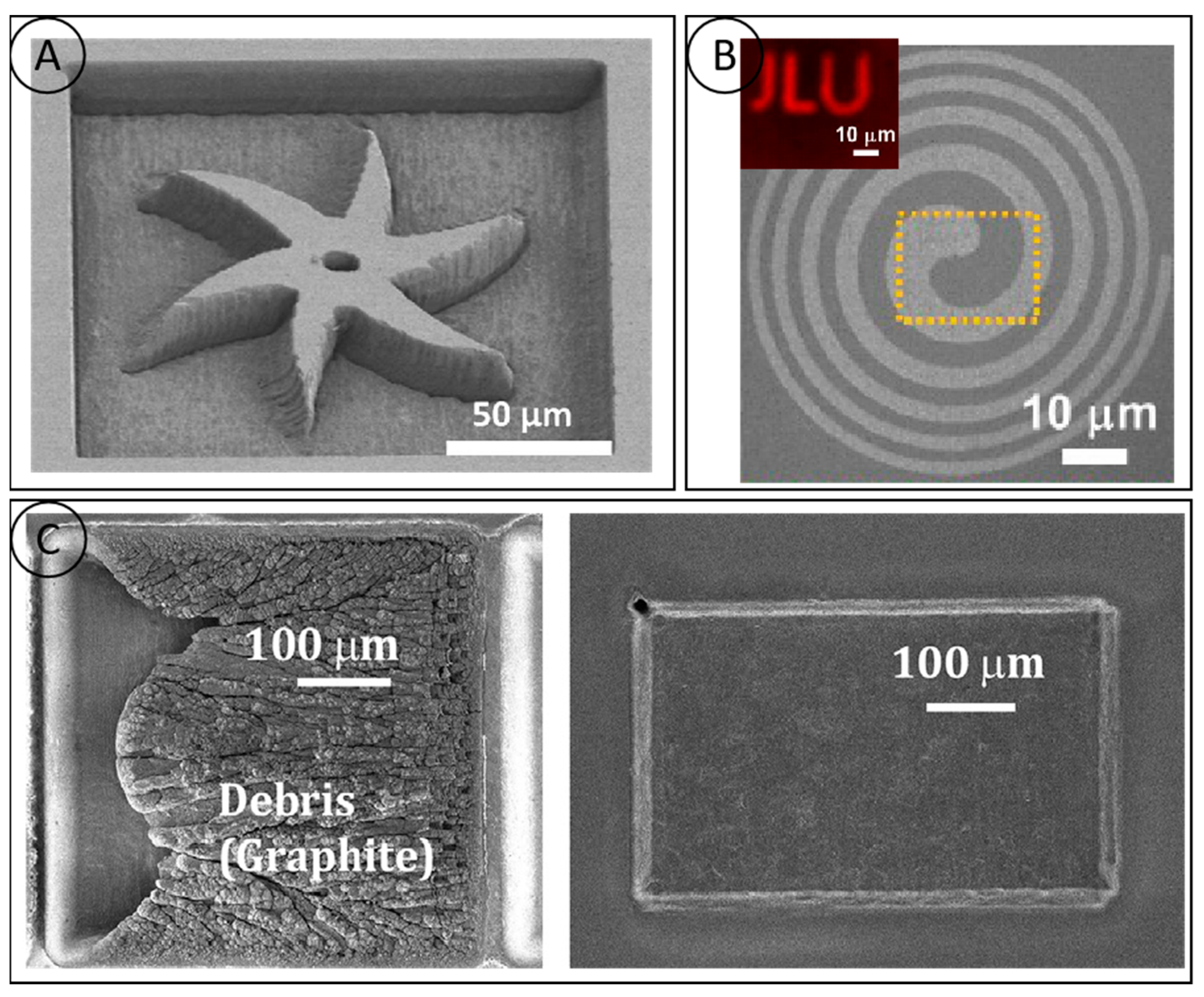 Micromachines 15 00547 g008