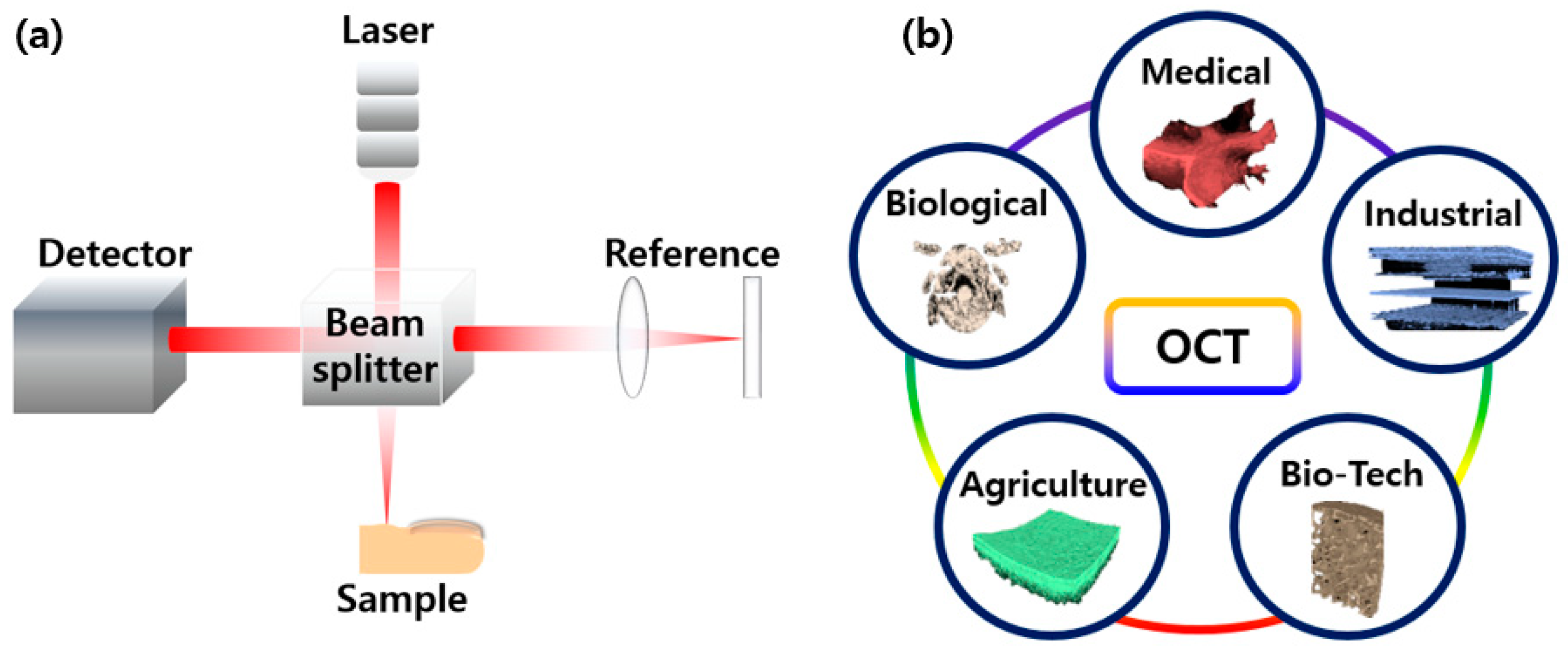 Micromachines 15 00564 g001 Micromachines 15 00564 g001