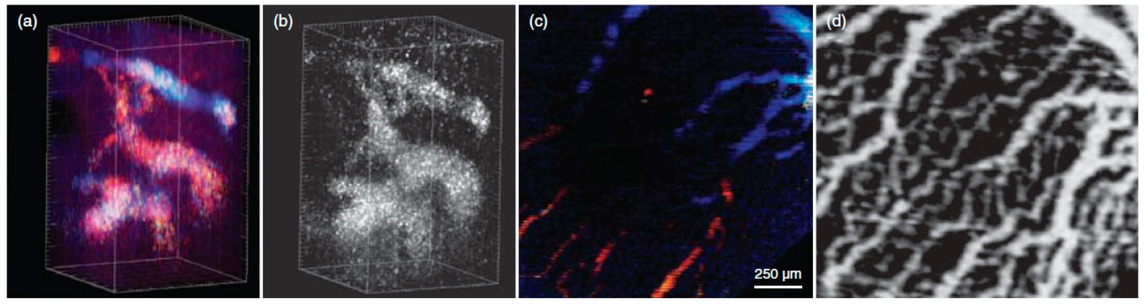 Micromachines 15 00564 g003 Micromachines 15 00564 g003