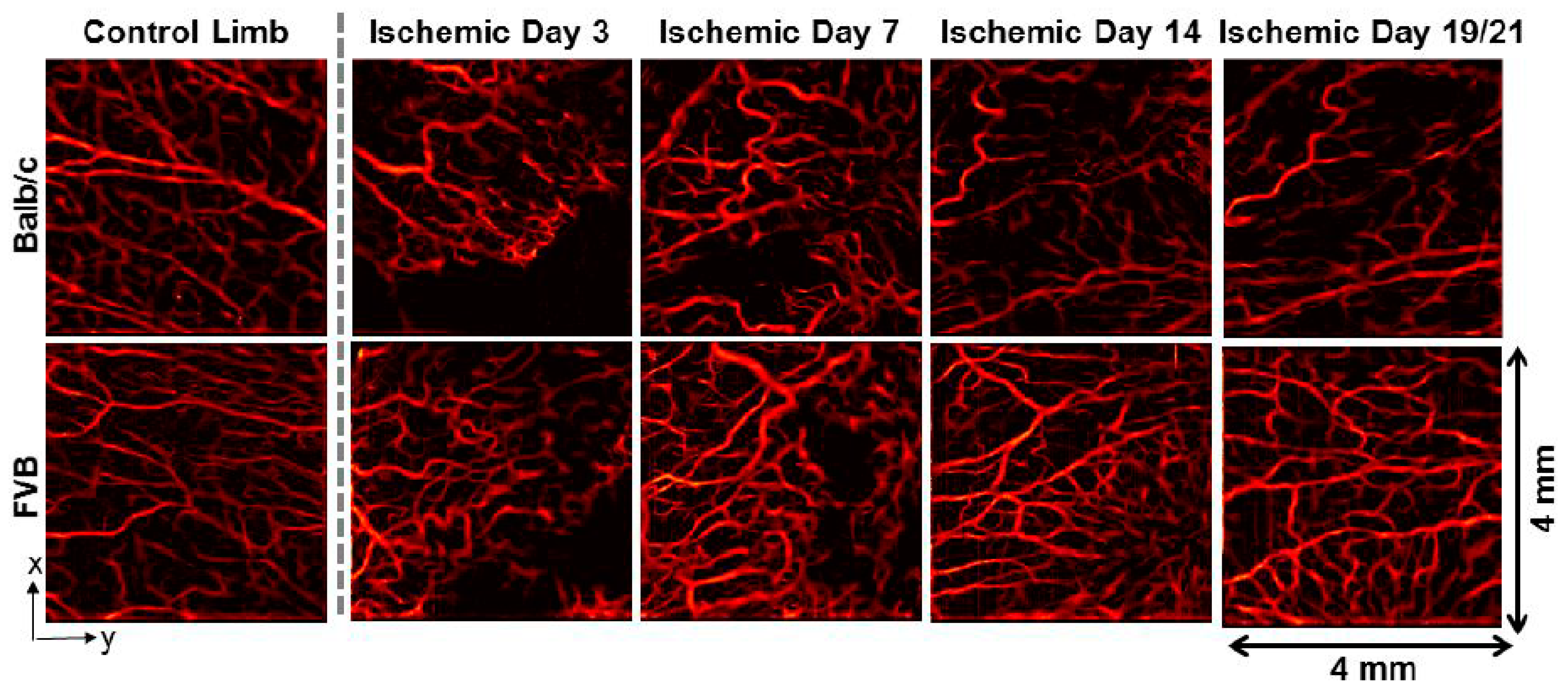 Micromachines 15 00564 g004 Micromachines 15 00564 g004