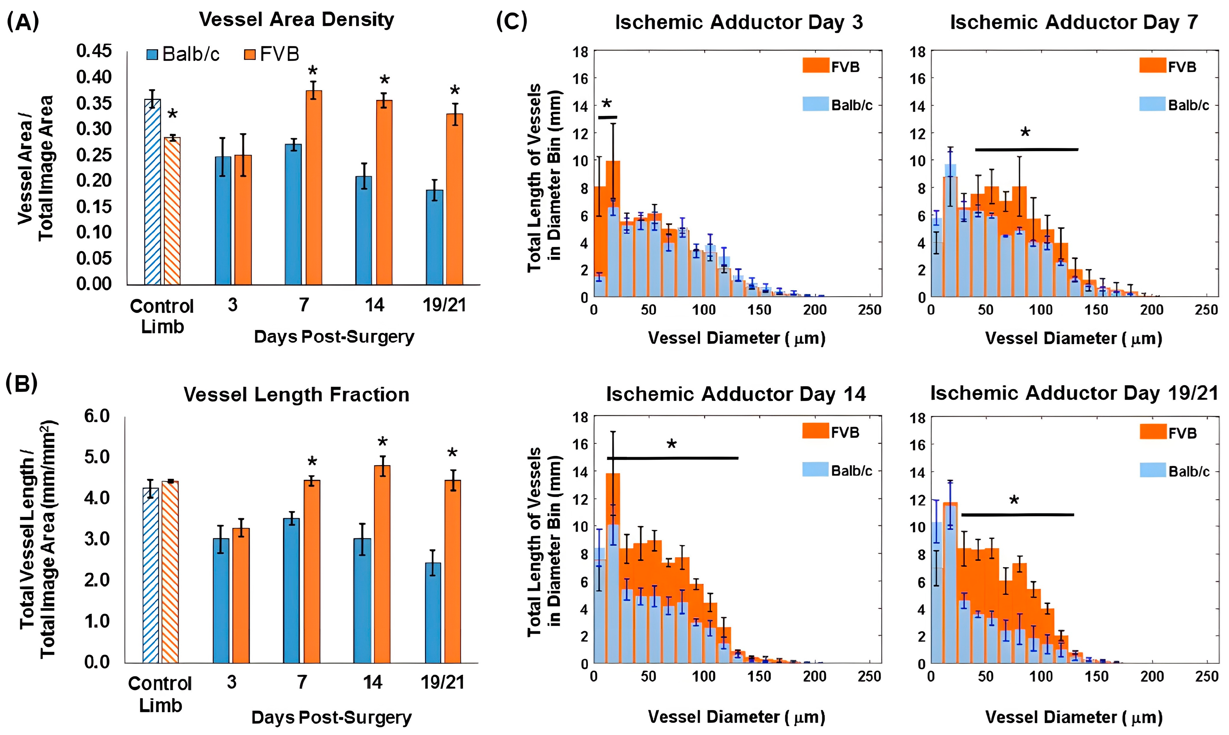 Micromachines 15 00564 g005 Micromachines 15 00564 g005