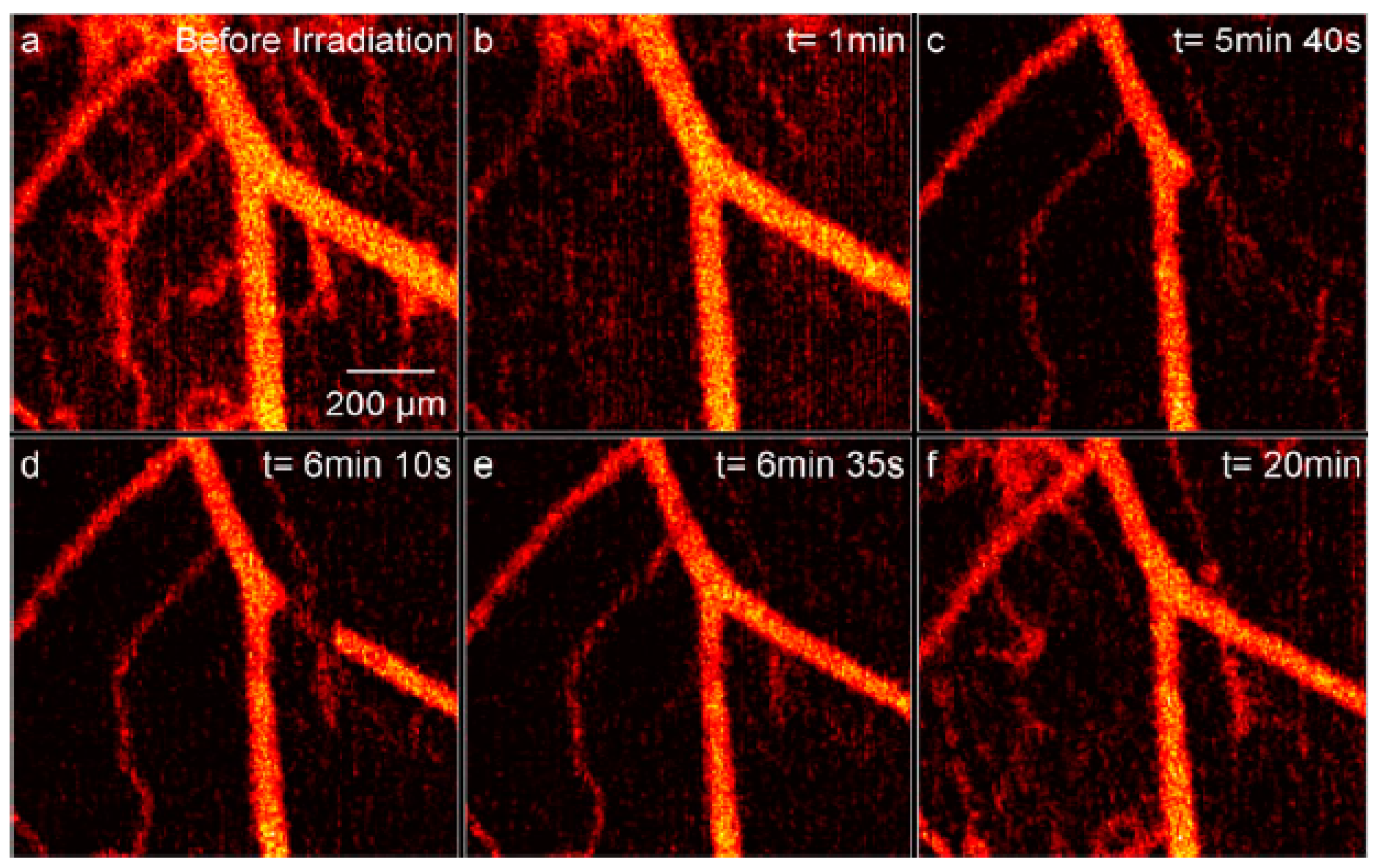 Micromachines 15 00564 g006 Micromachines 15 00564 g006