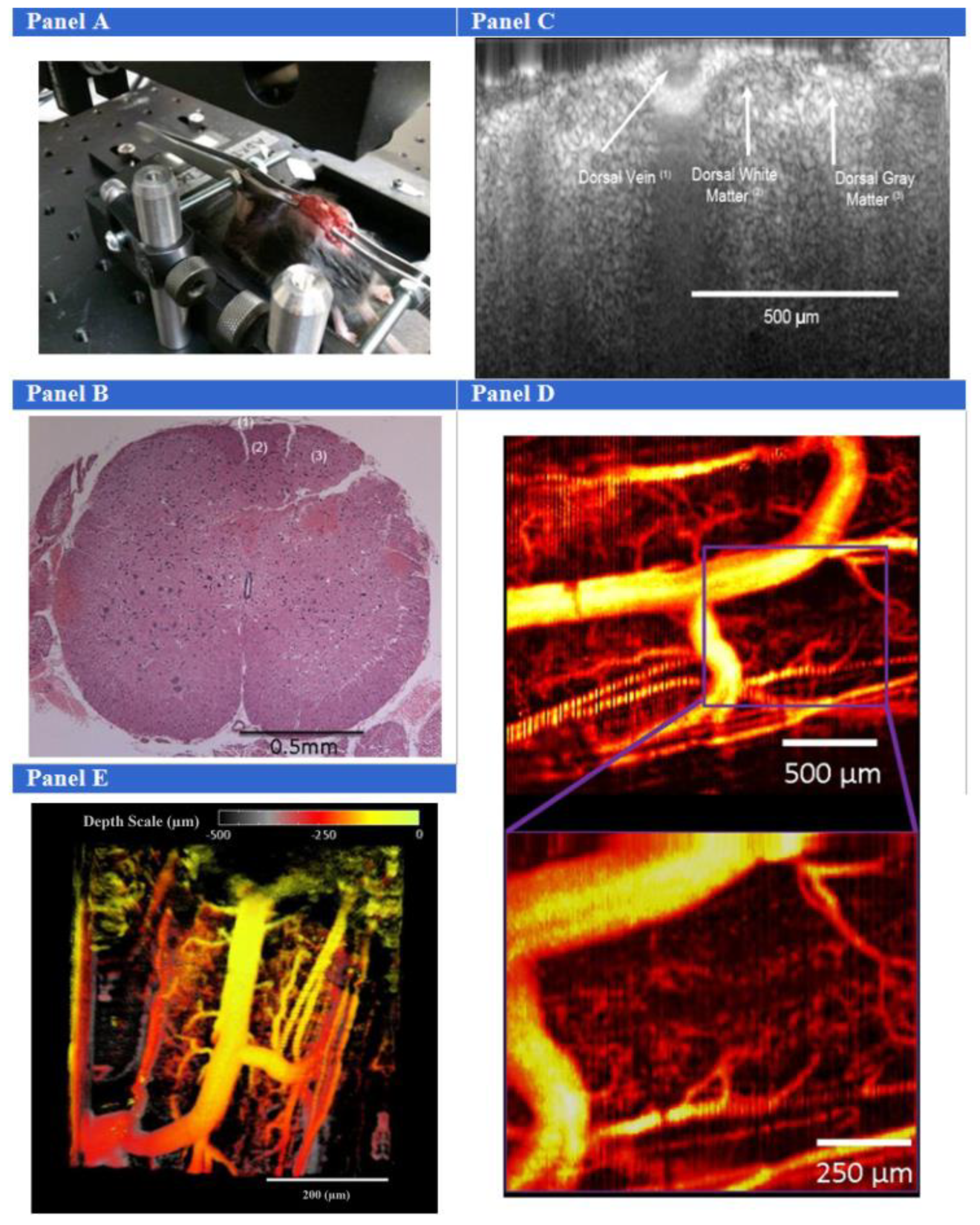 Micromachines 15 00564 g010 Micromachines 15 00564 g010
