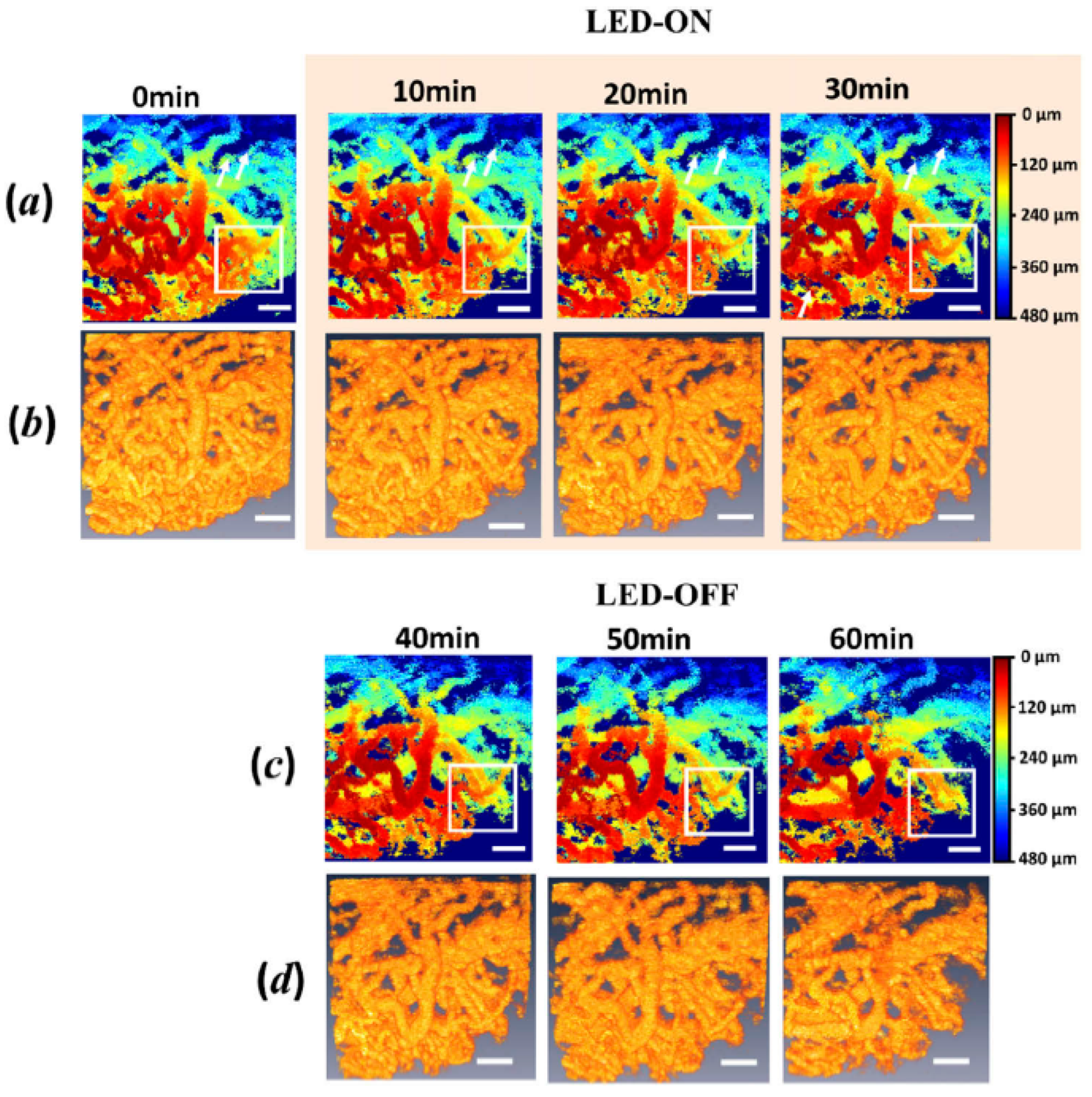 Micromachines 15 00564 g014 Micromachines 15 00564 g014