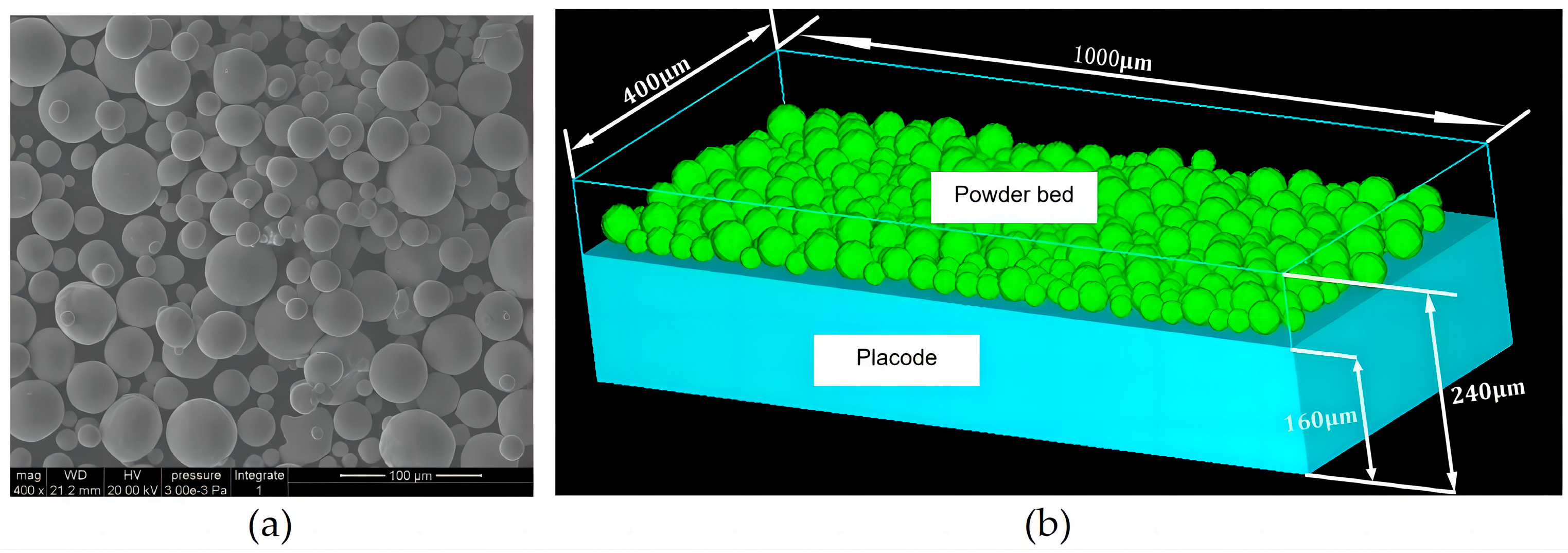 Micromachines 15 00570 g007