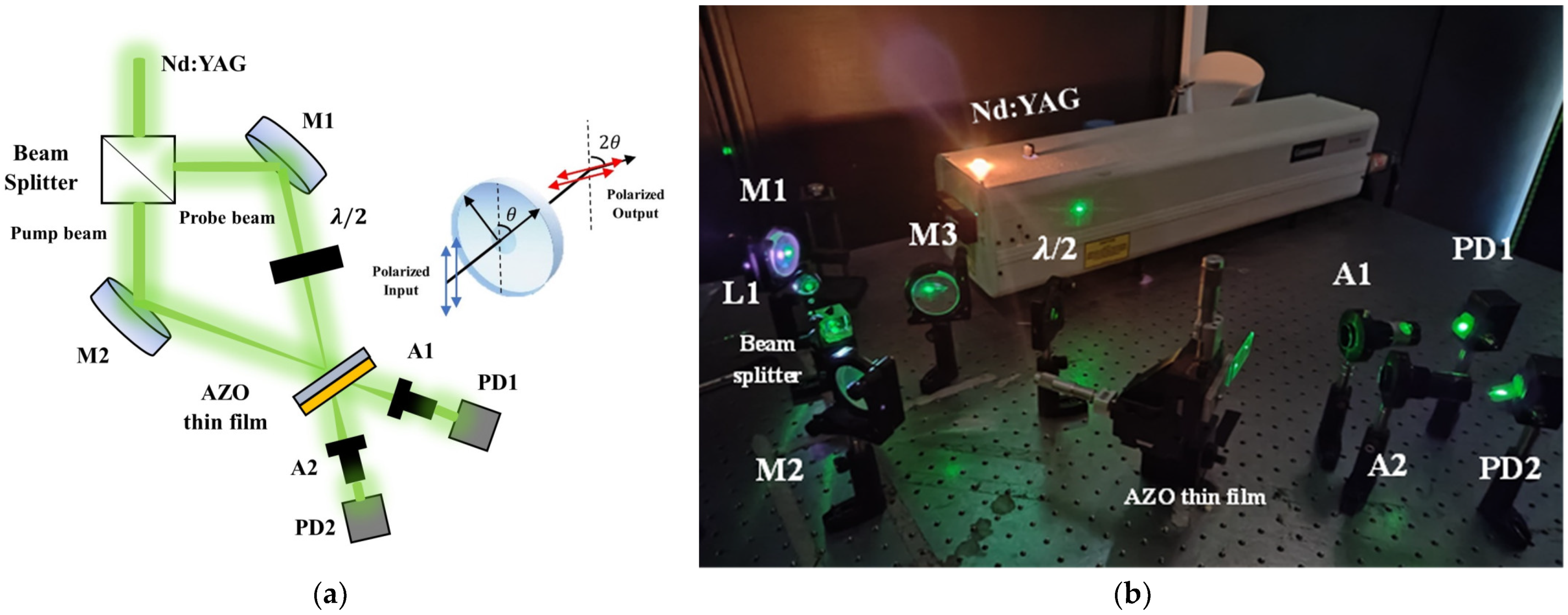 Micromachines 15 00579 g002