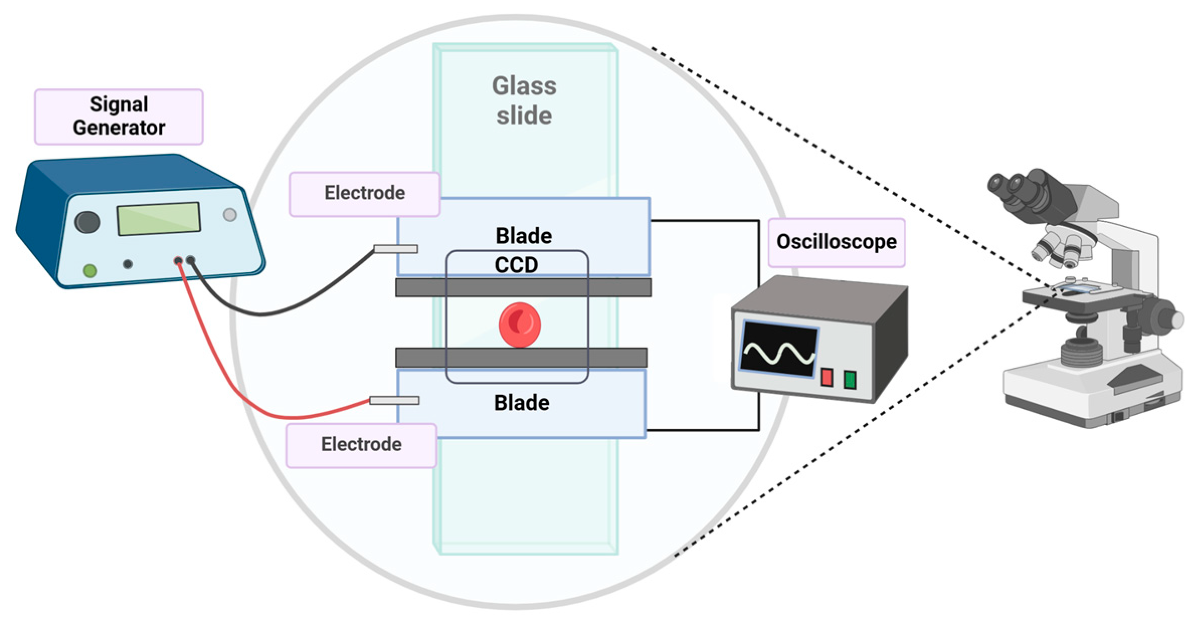 Micromachines 15 00590 g002 Micromachines 15 00590 g002