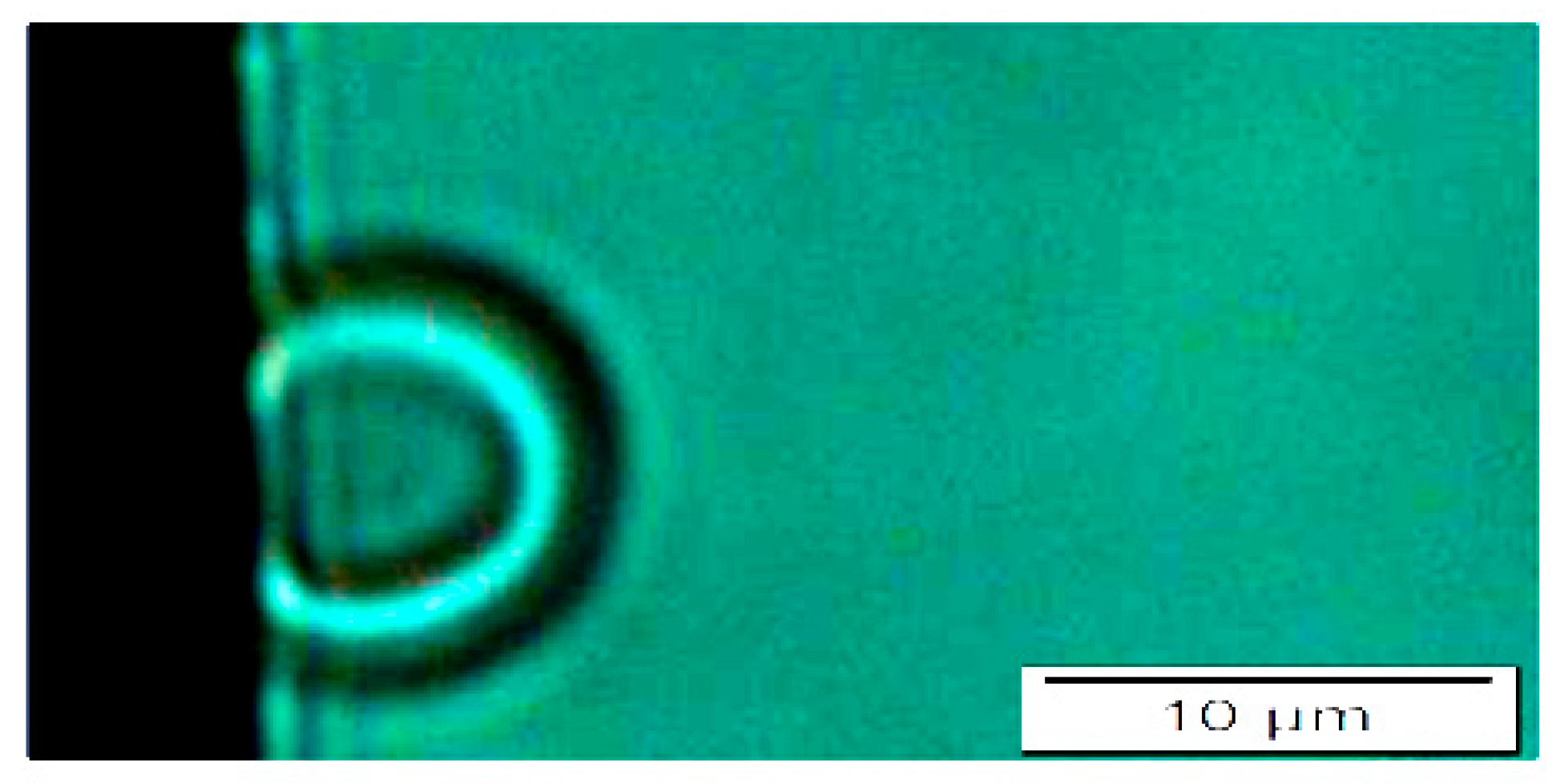 Micromachines 15 00590 g003 Micromachines 15 00590 g003