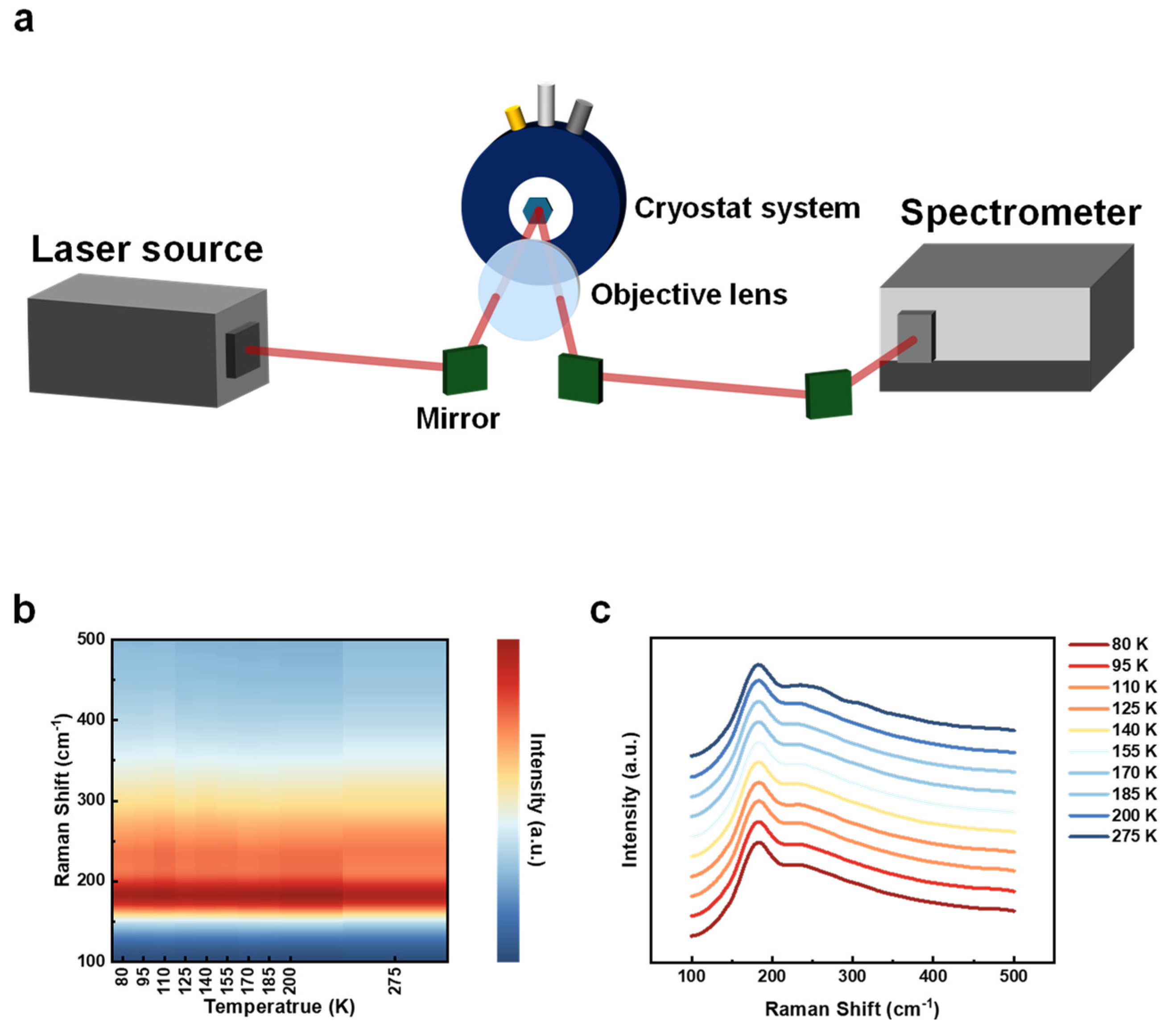 Synthesis and Characterization of 2D Ternary Compound TMD