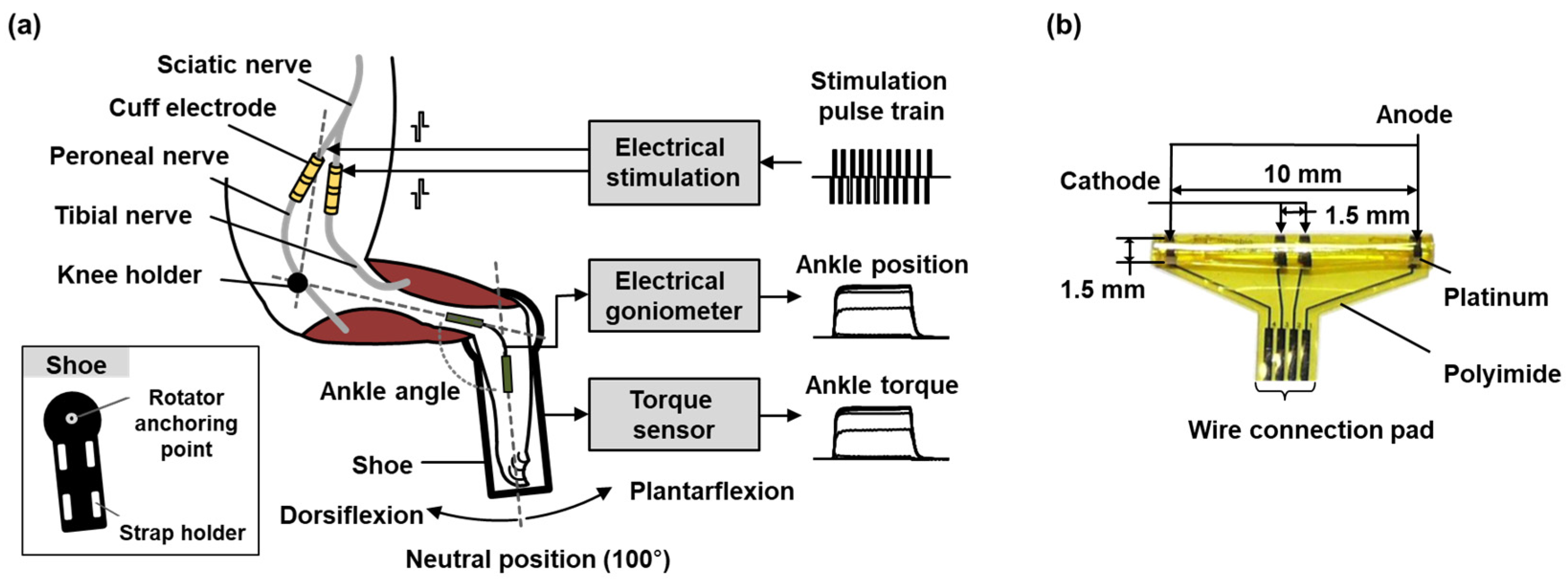 Micromachines 15 00594 g001