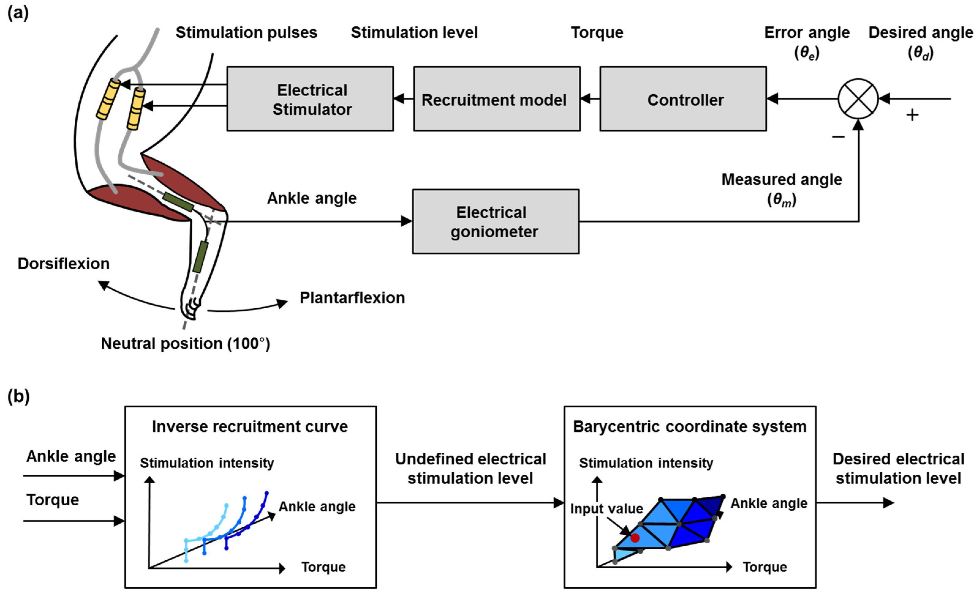 Micromachines 15 00594 g002