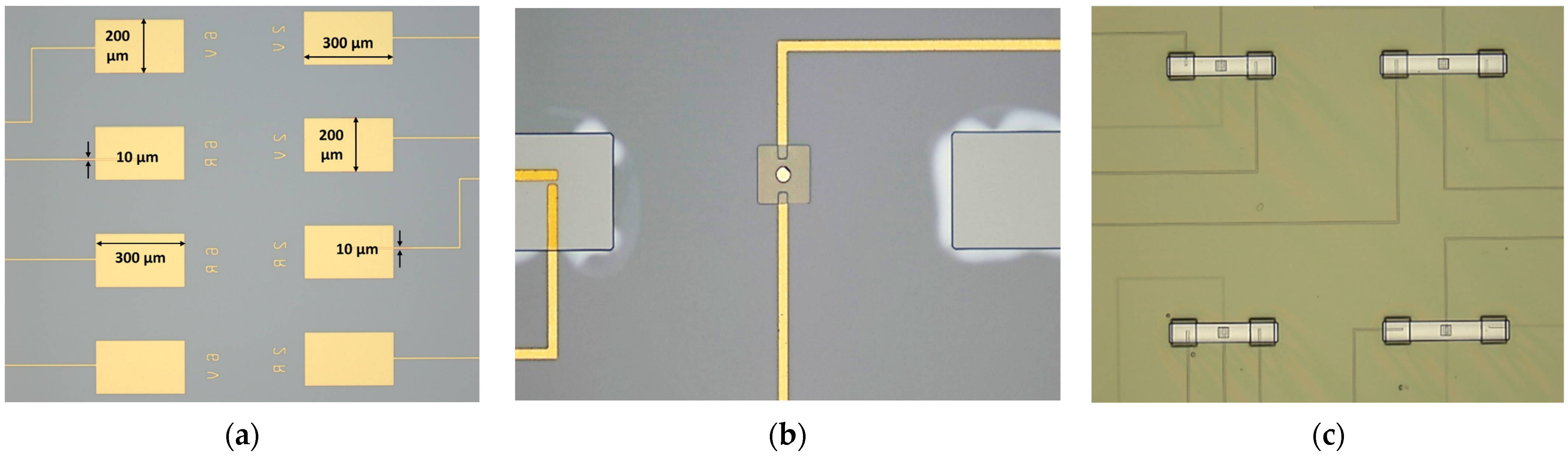 Micromachines 15 00597 g006
