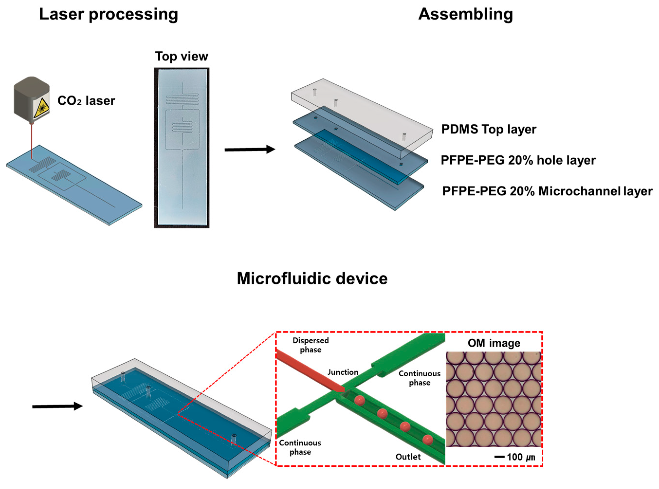 Micromachines 15 00599 sch001