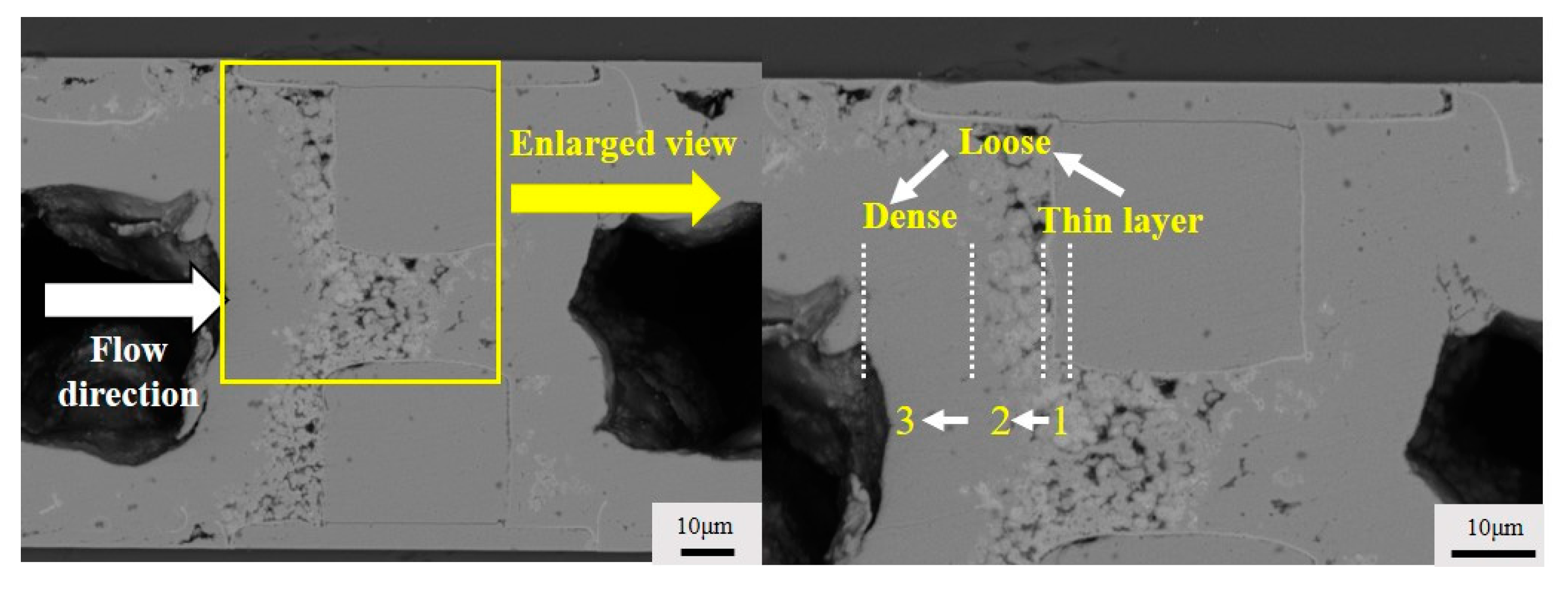 Micromachines 15 00612 g002