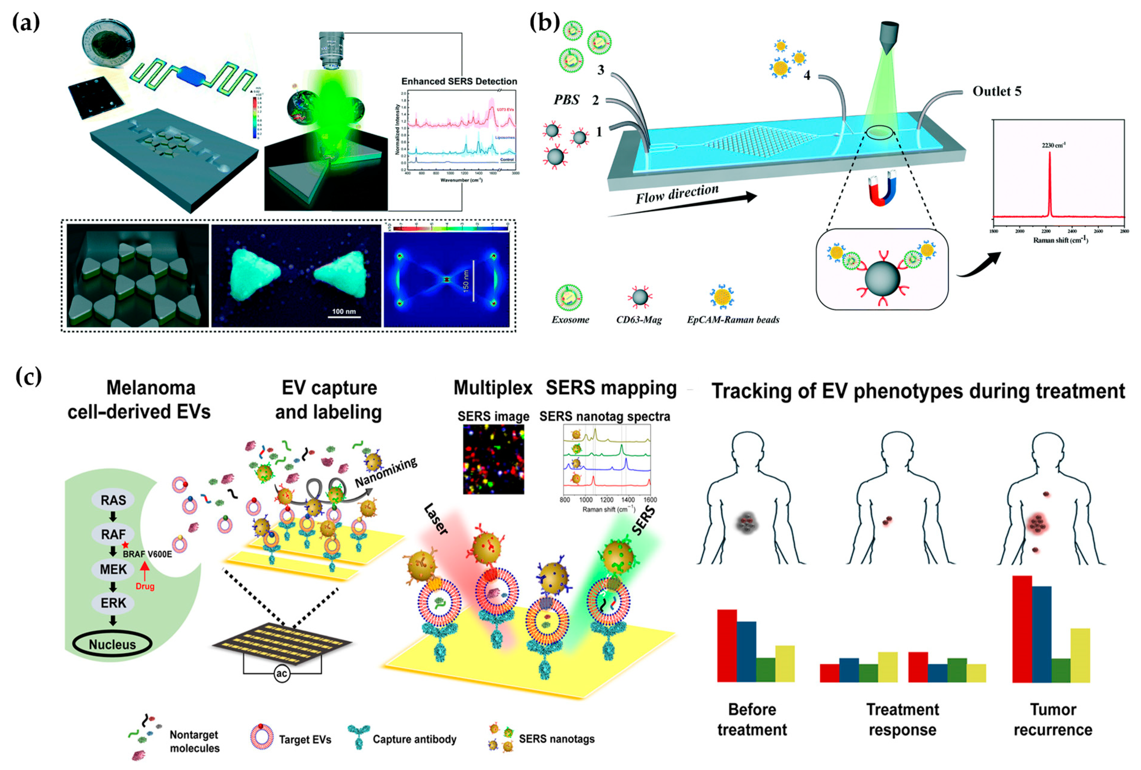 Micromachines 15 00630 g005