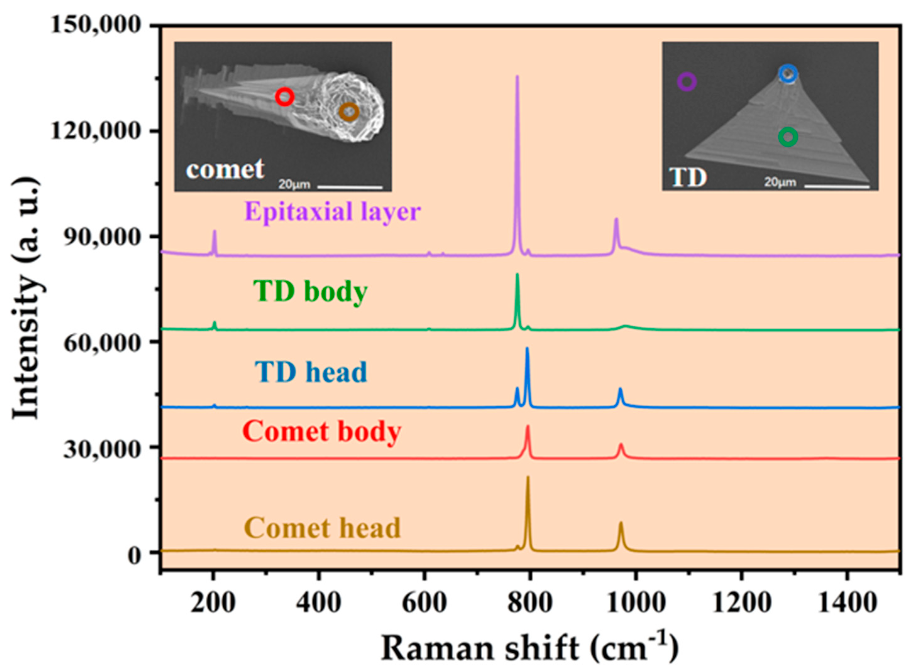 Micromachines 15 00665 g002