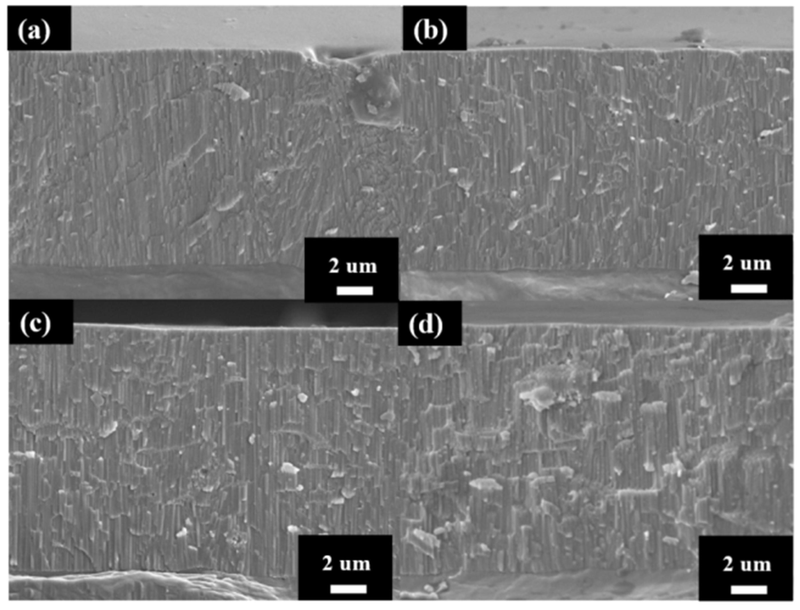 Micromachines 15 00683 g005