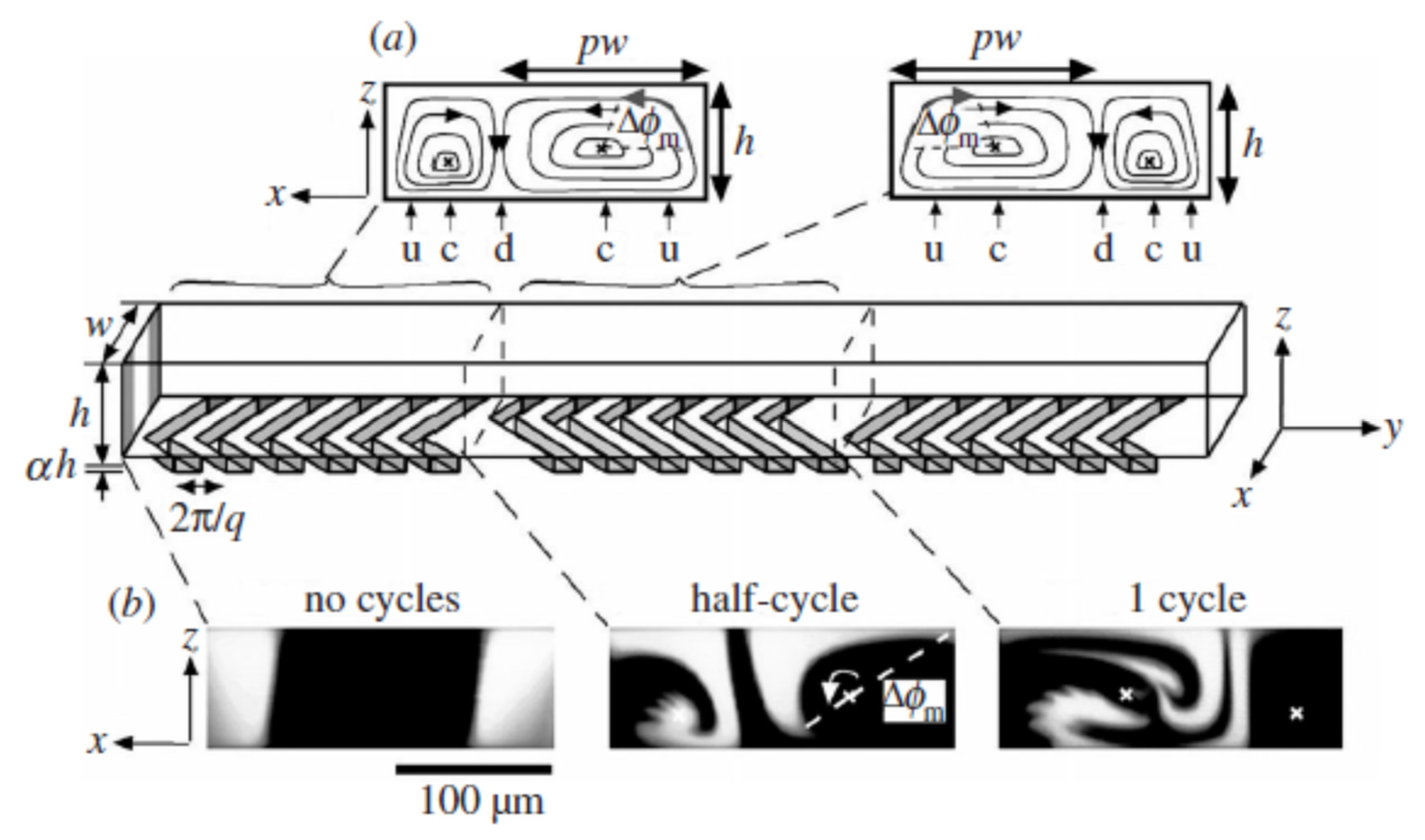 Micromachines 15 00691 g001