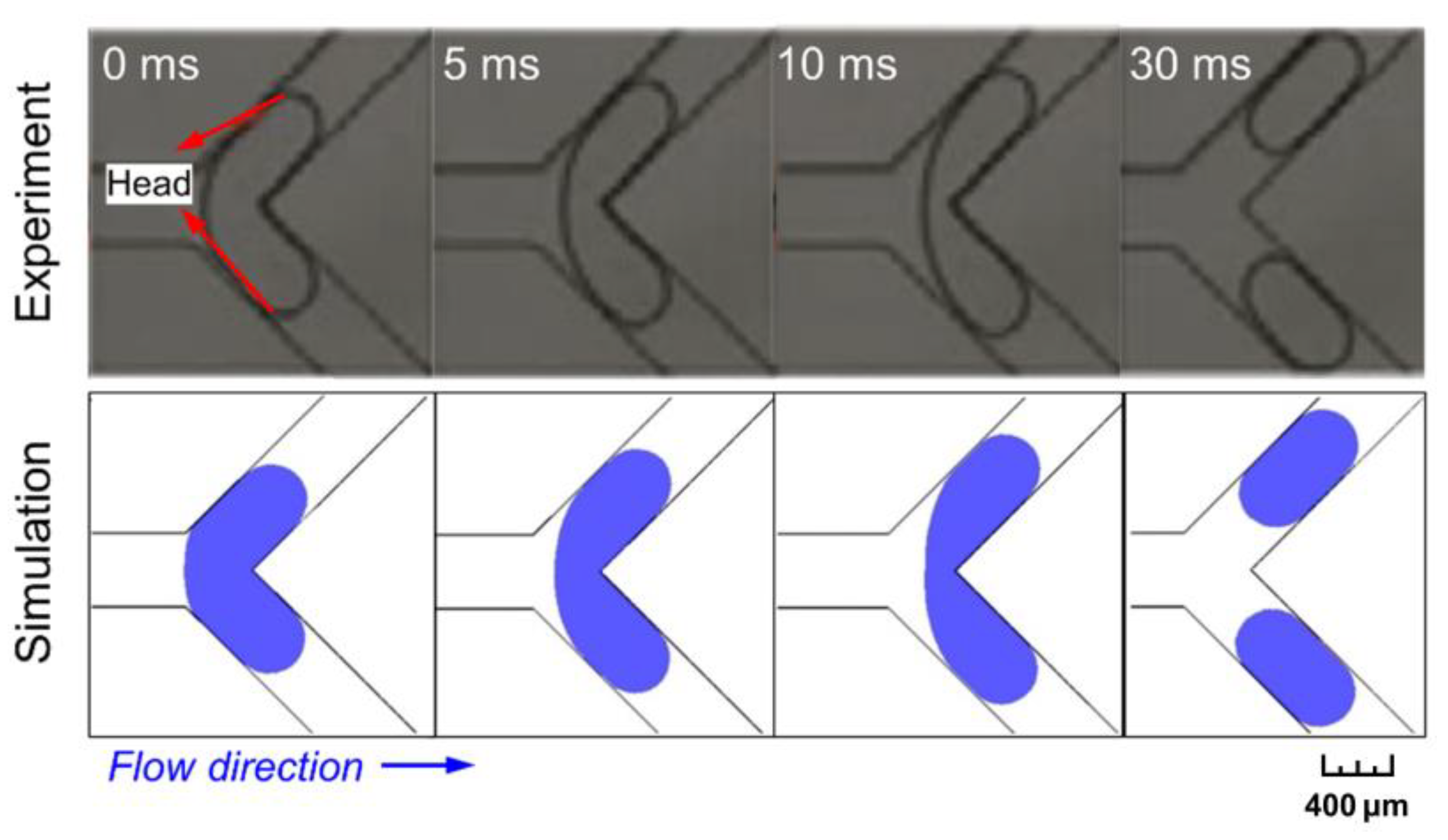 Micromachines 15 00695 g002