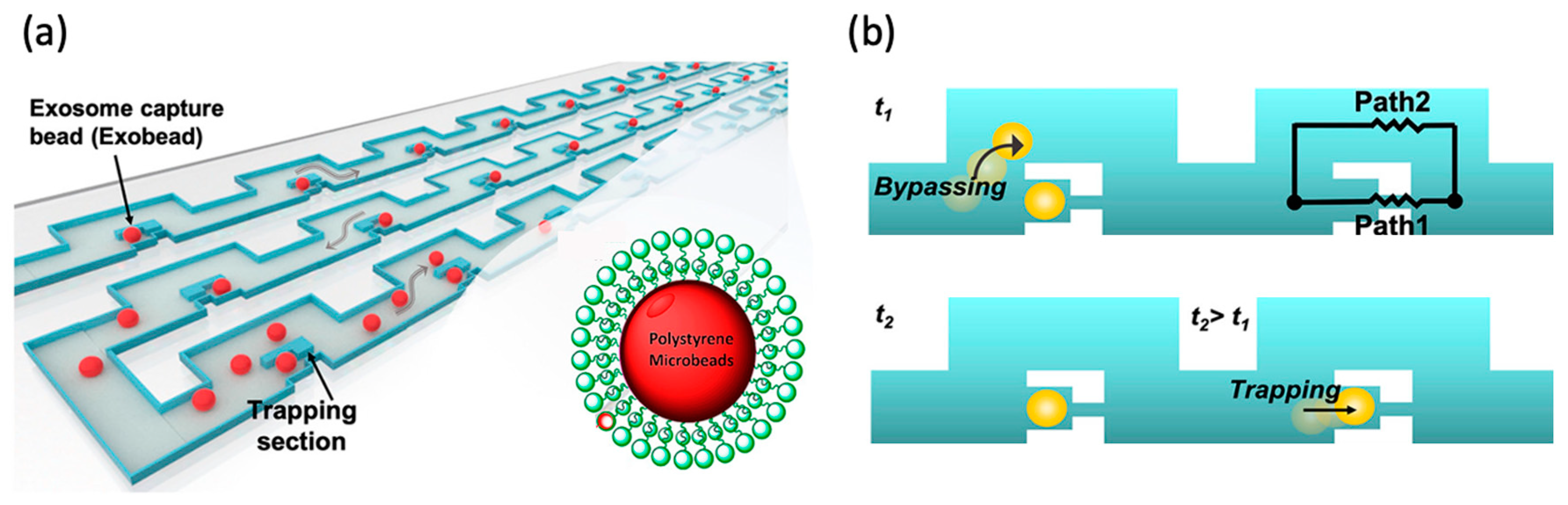 Micromachines 15 00699 g001