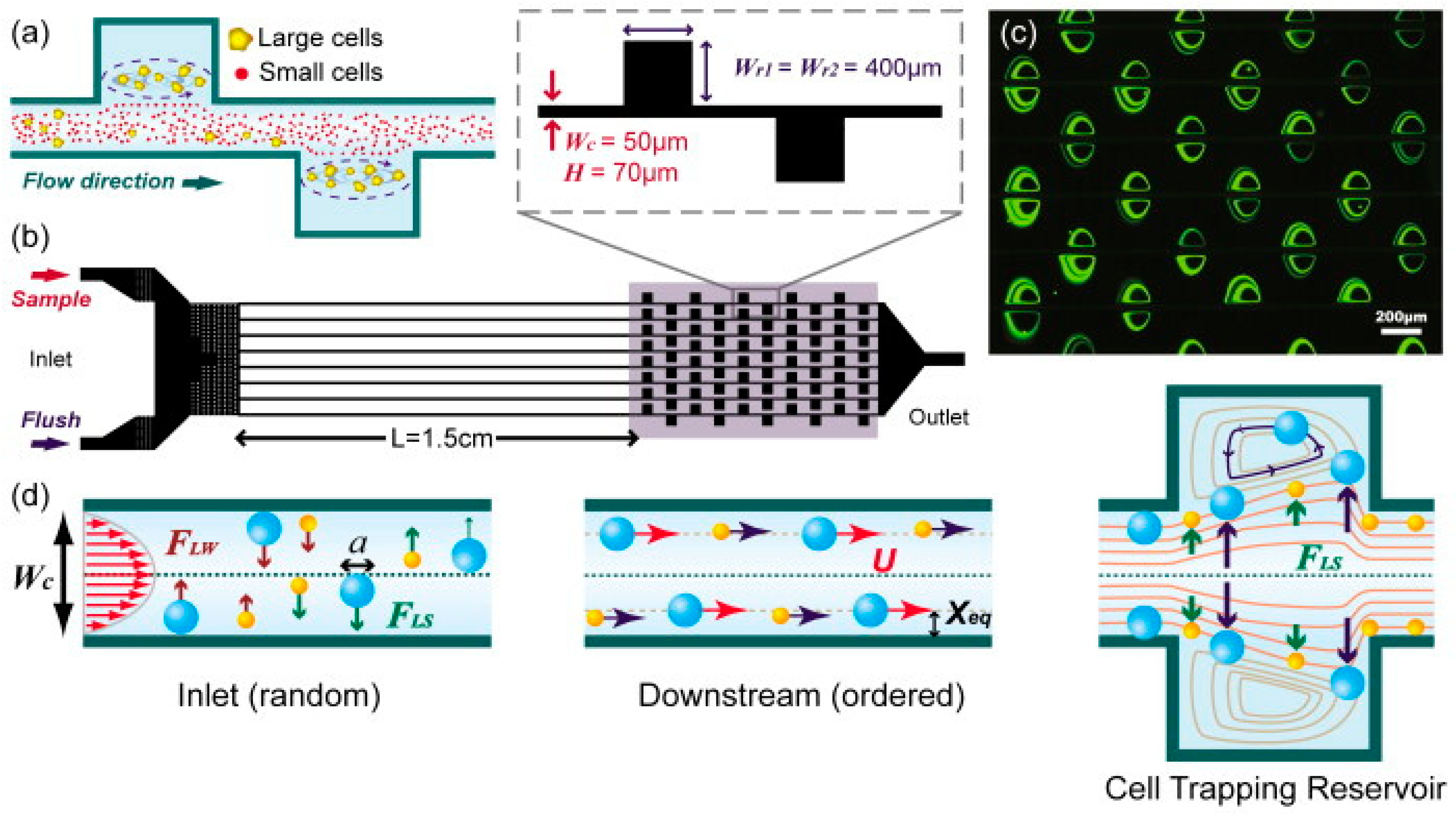 Micromachines 15 00699 g004