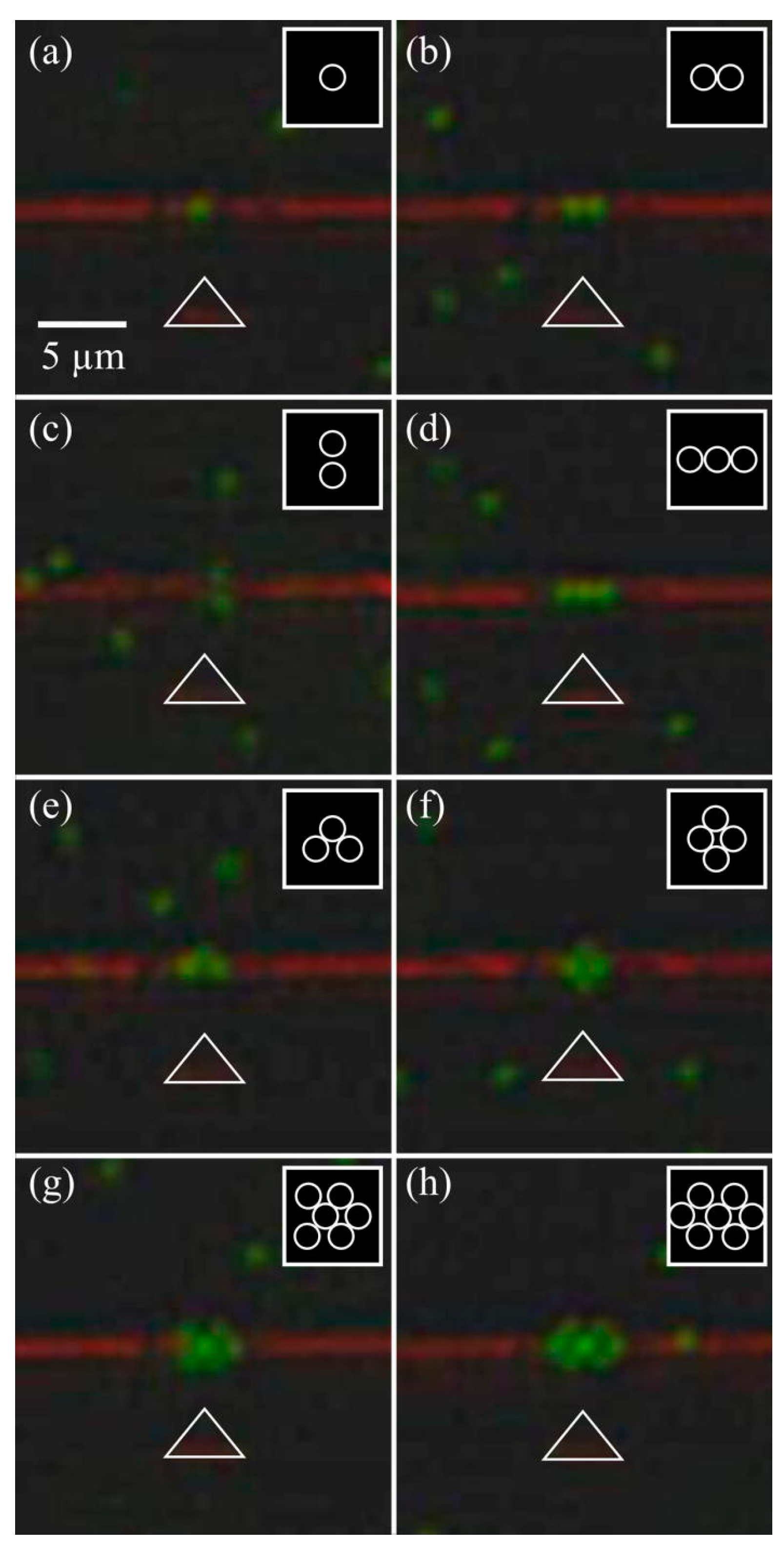Micromachines 15 00699 g005