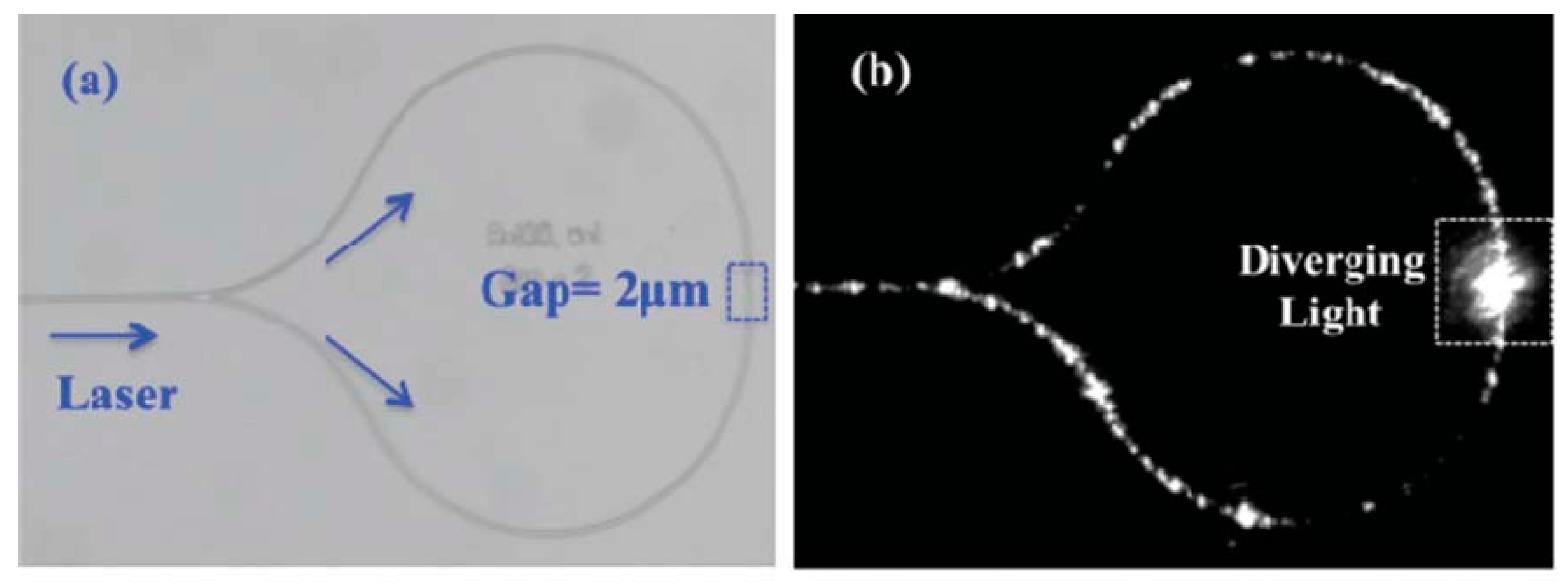 Micromachines 15 00699 g006