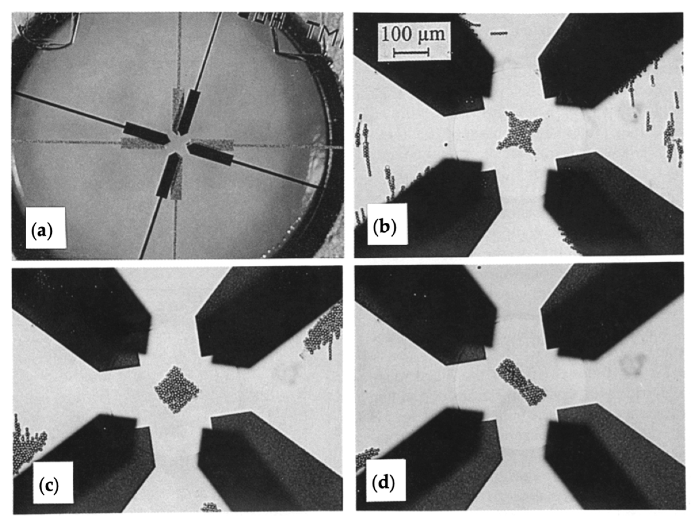 Micromachines 15 00699 g008